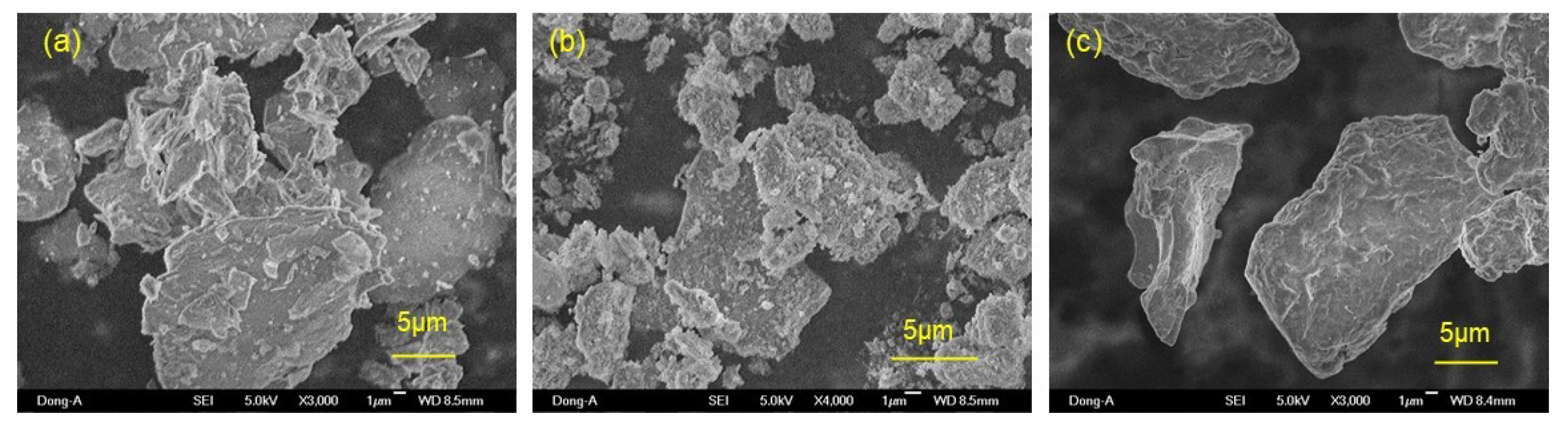 Sustainability 13 11741 g002