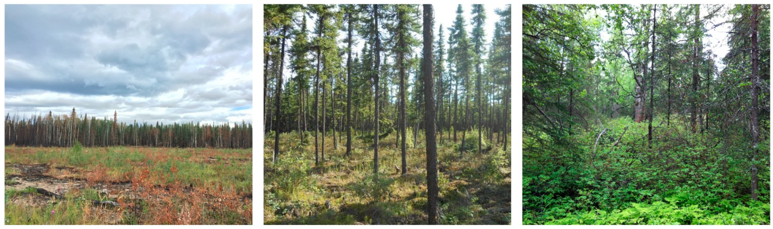 Sustainability 13 11754 g001