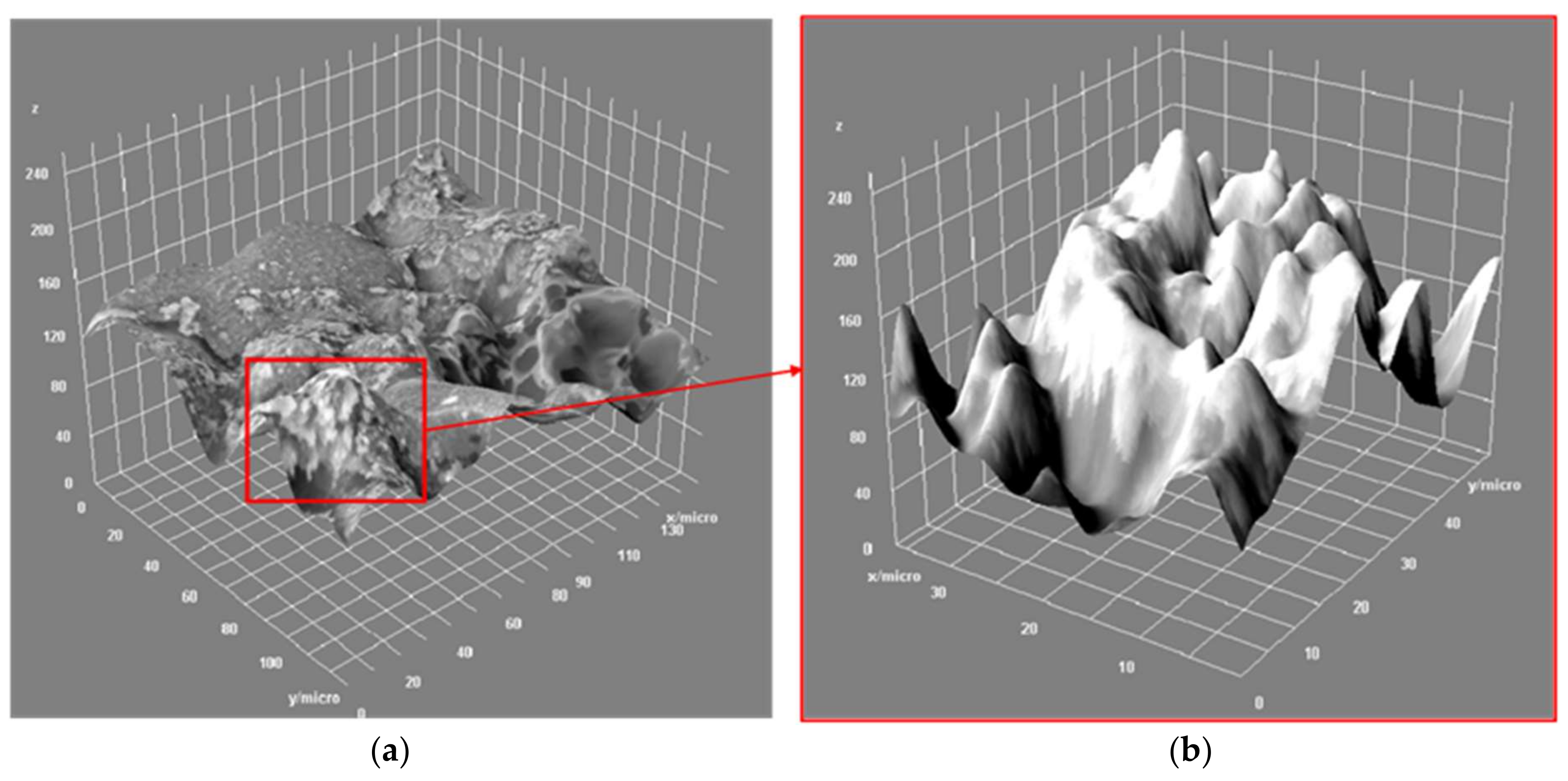 Sustainability 13 11771 g003