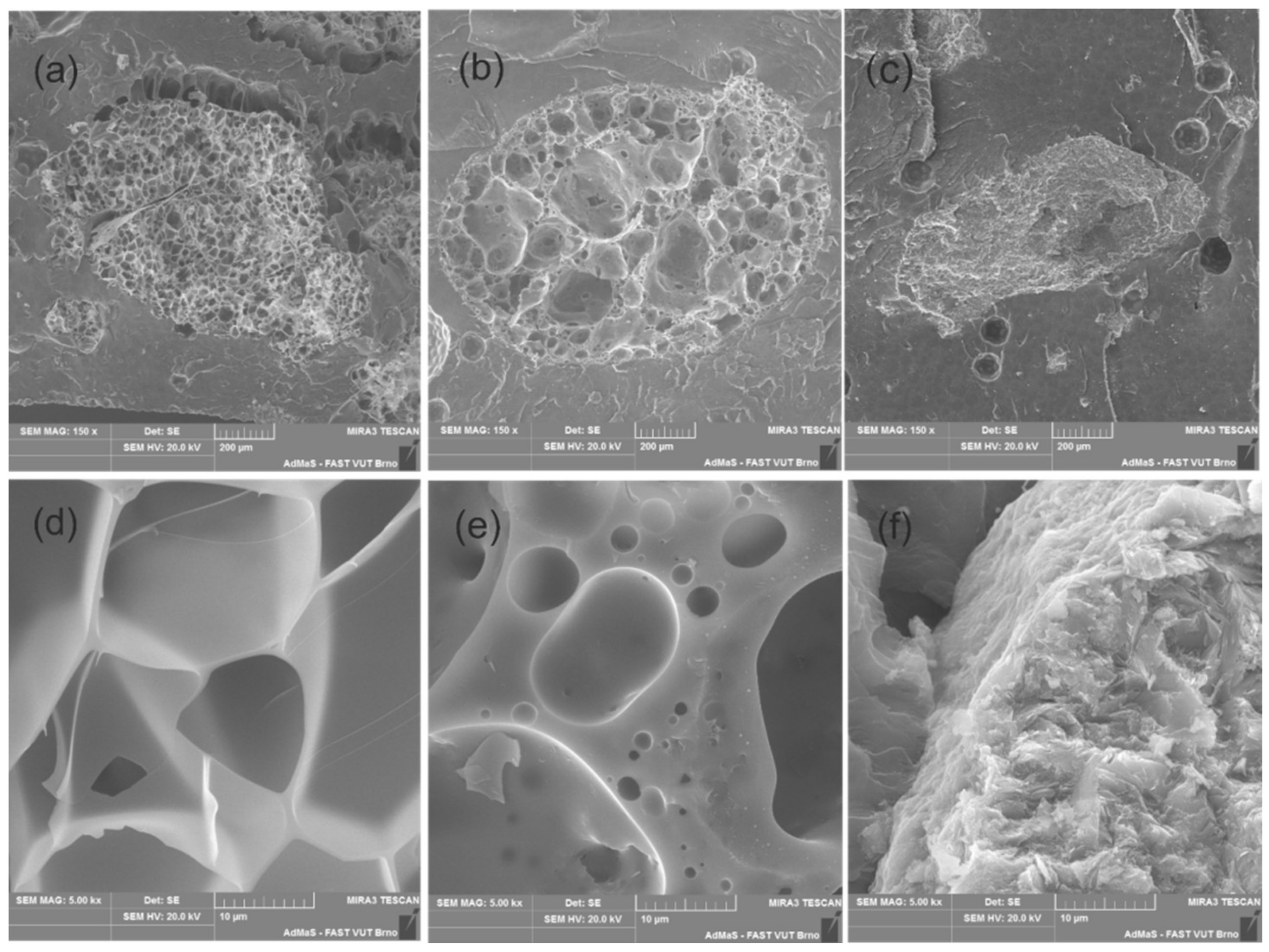 Sustainability 13 11780 g002