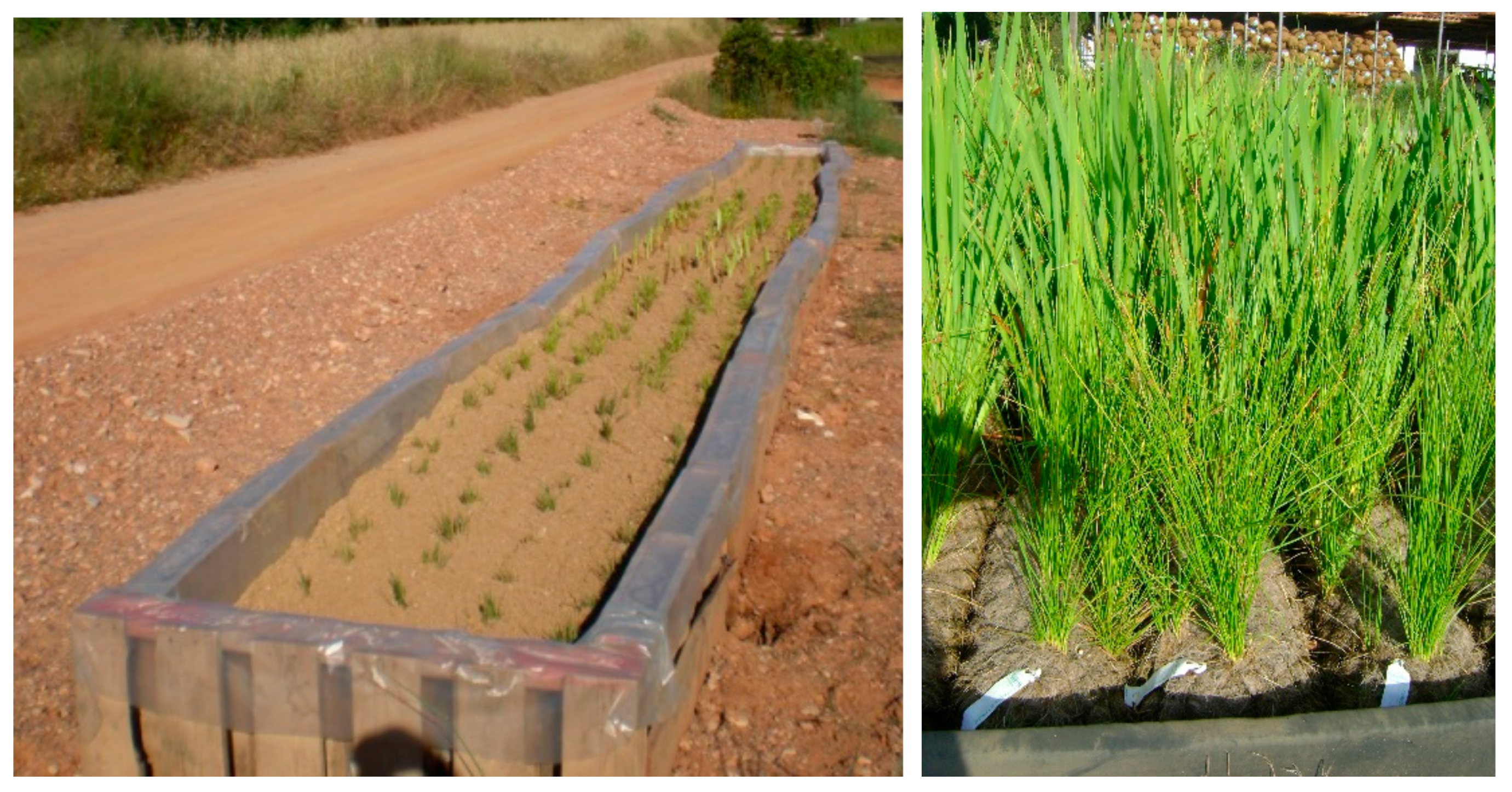 Sustainability 13 11785 g003