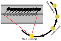 Sustainability 13 11791 i006