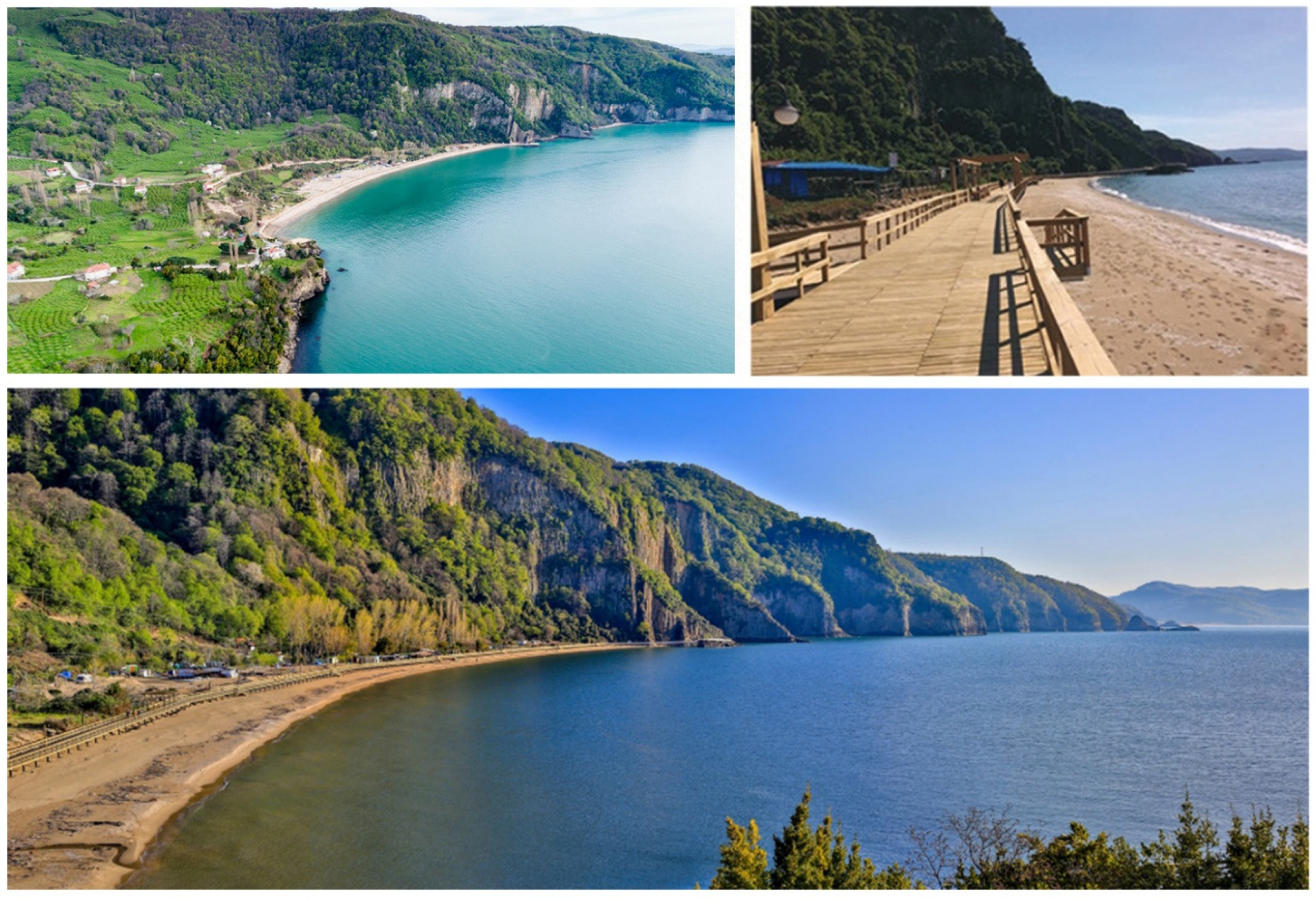 Sustainability 13 11812 g005