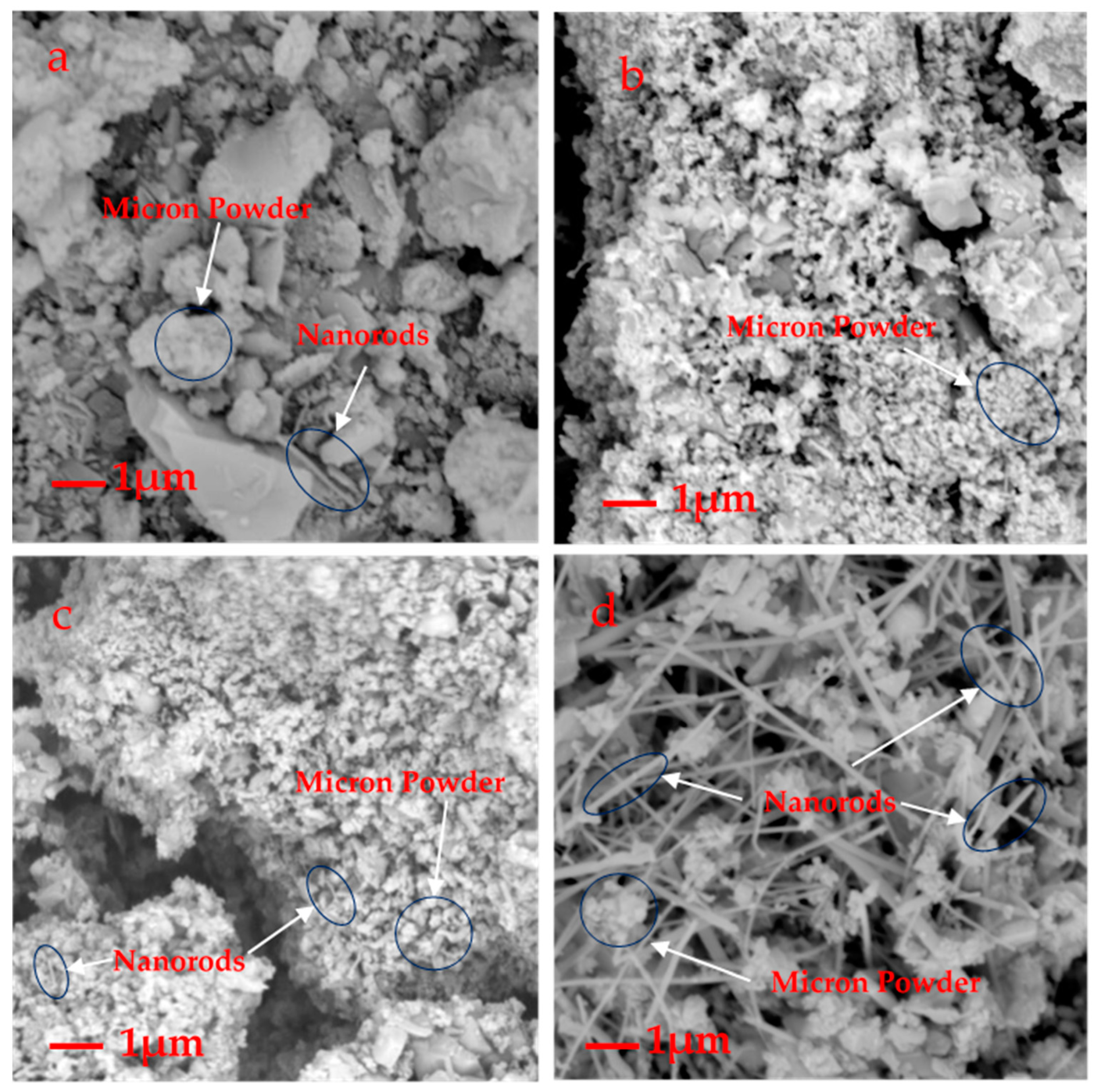 Sustainability 13 11846 g004