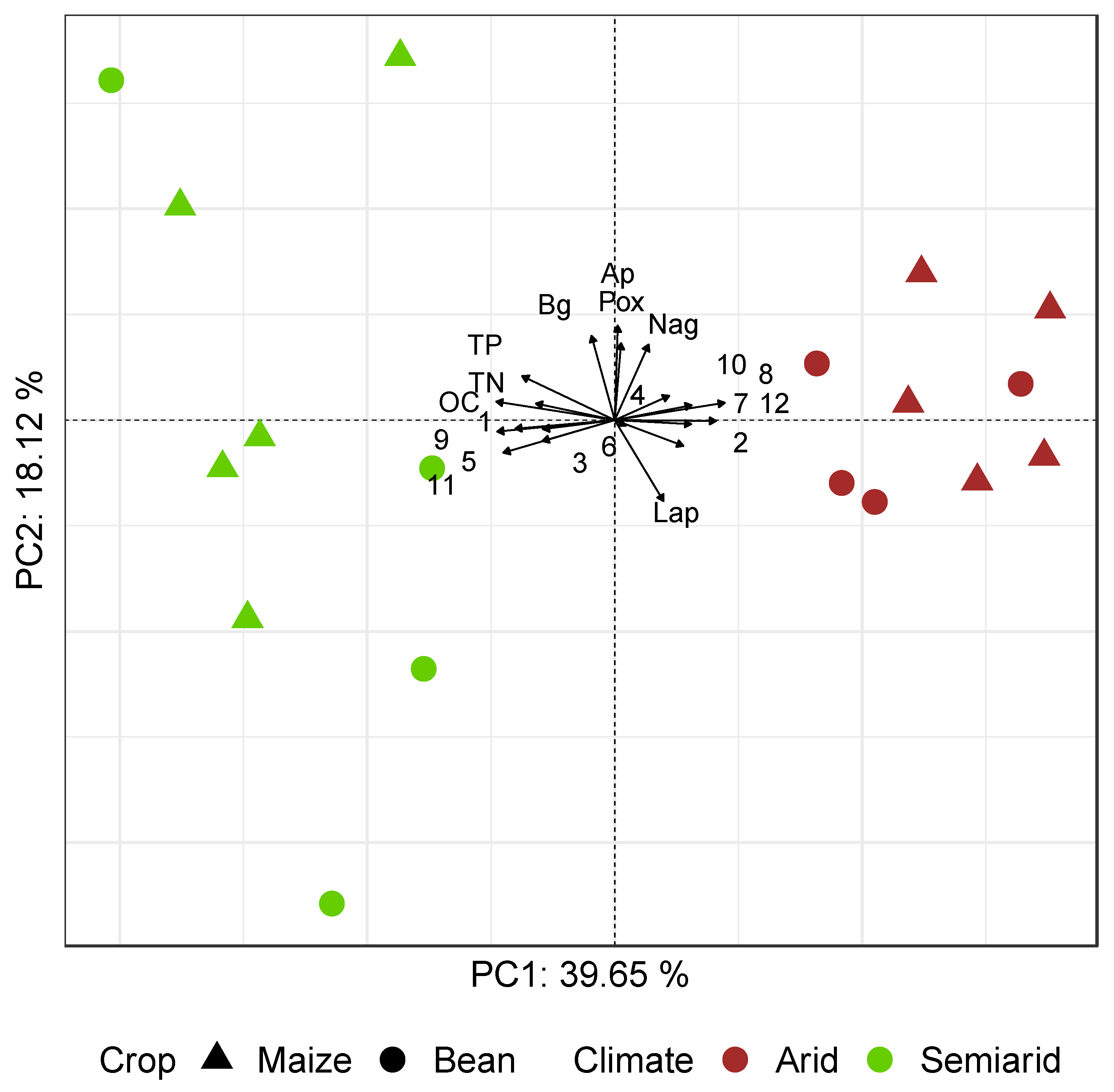 Sustainability 13 11848 g003