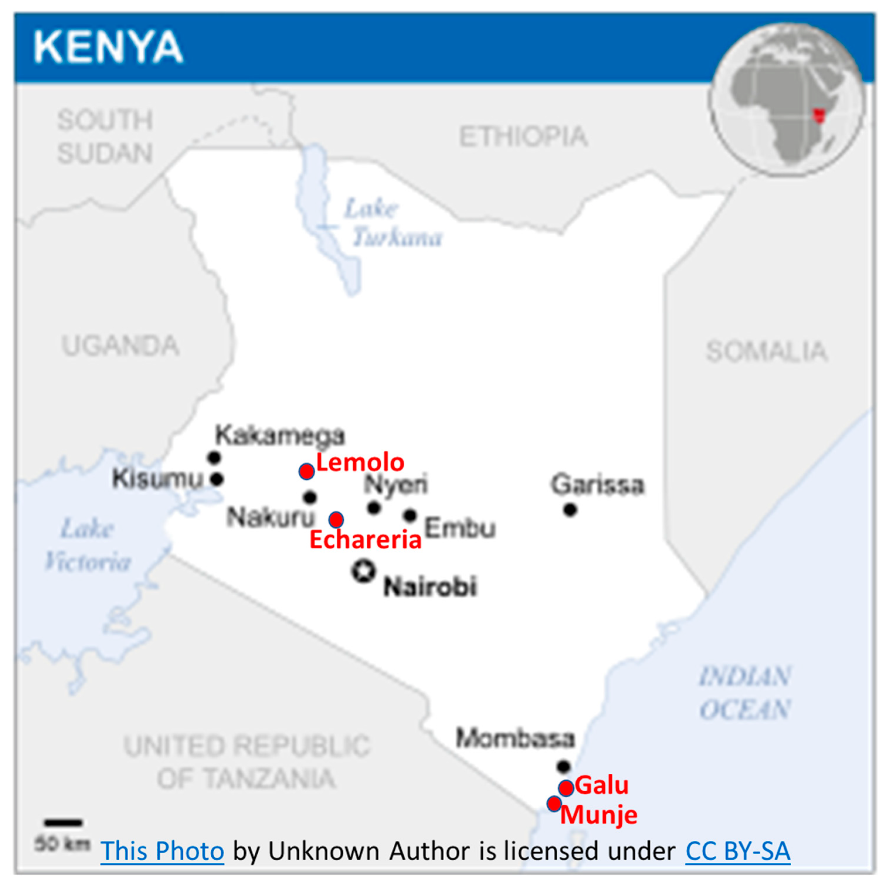 Sustainability 13 11852 g001