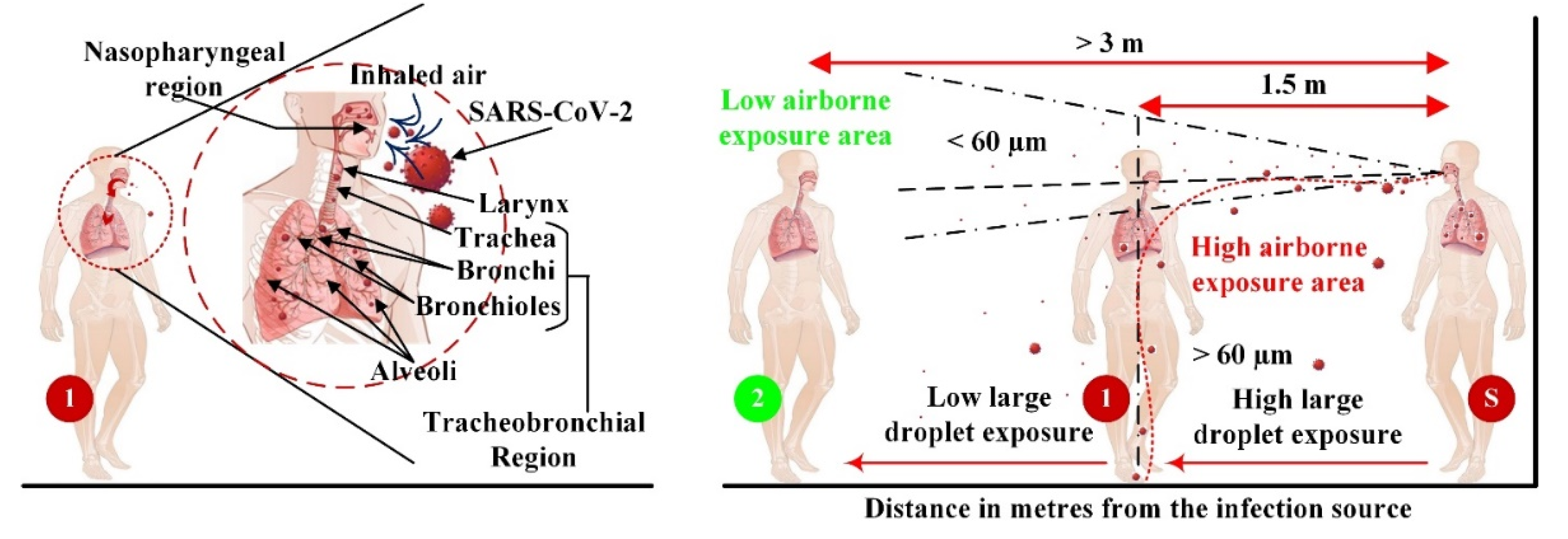 Sustainability 13 11855 g013