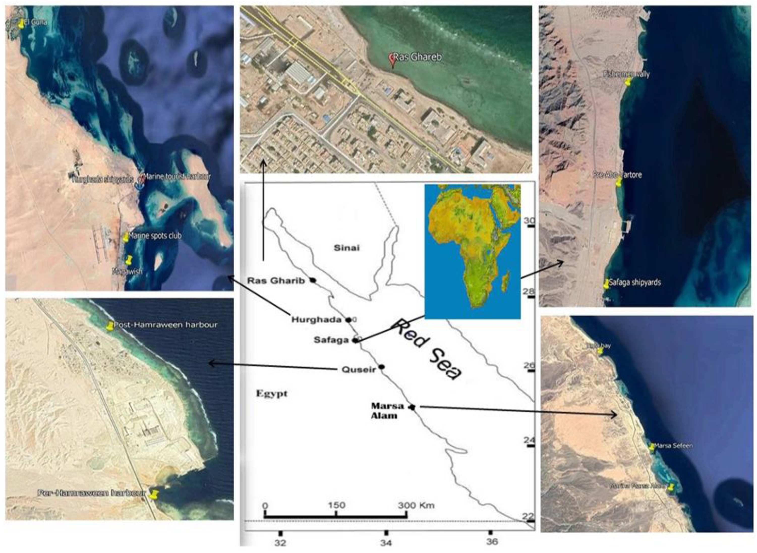 Sustainability 13 11906 g001