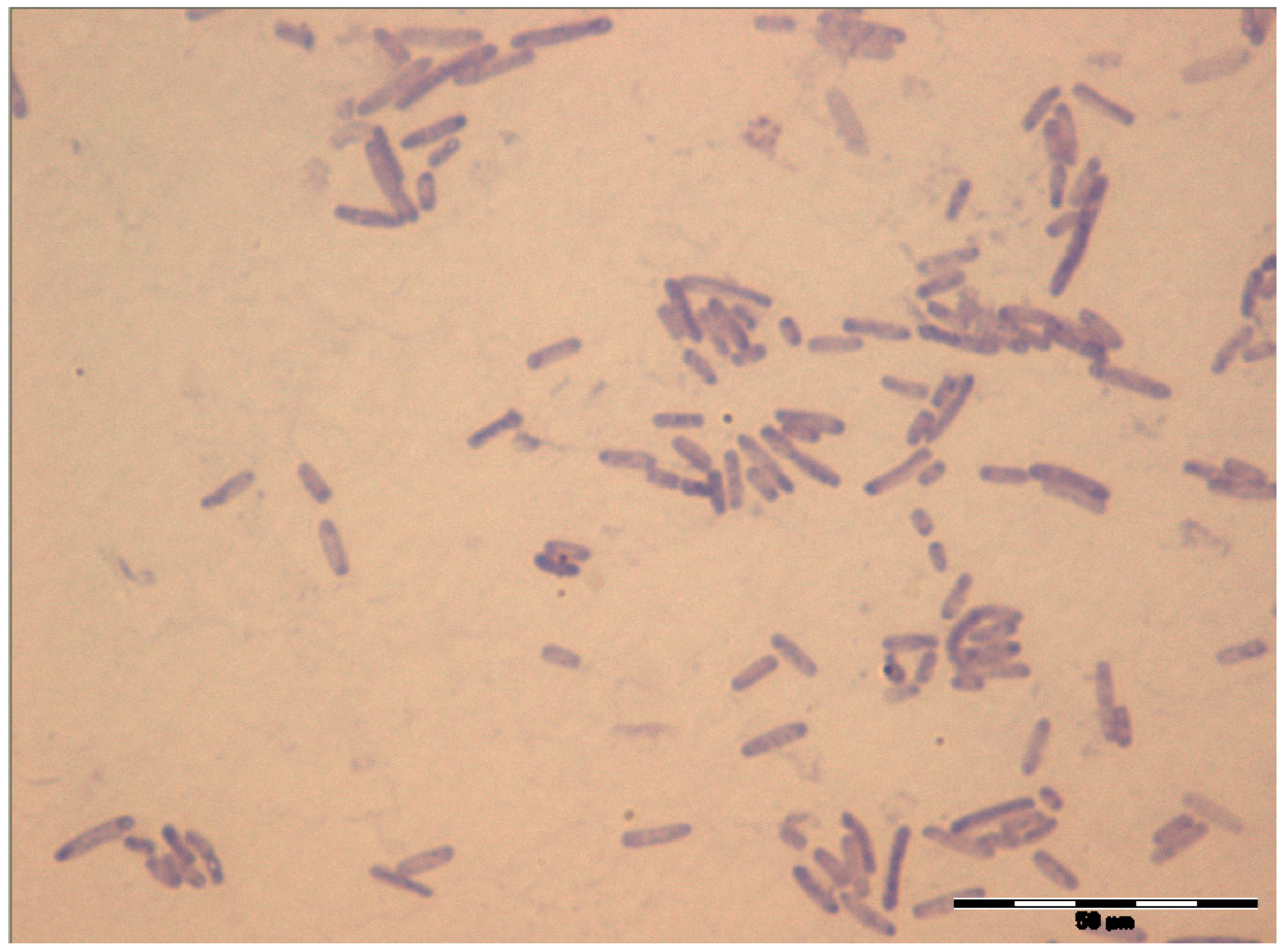 Sustainability 13 11915 g002