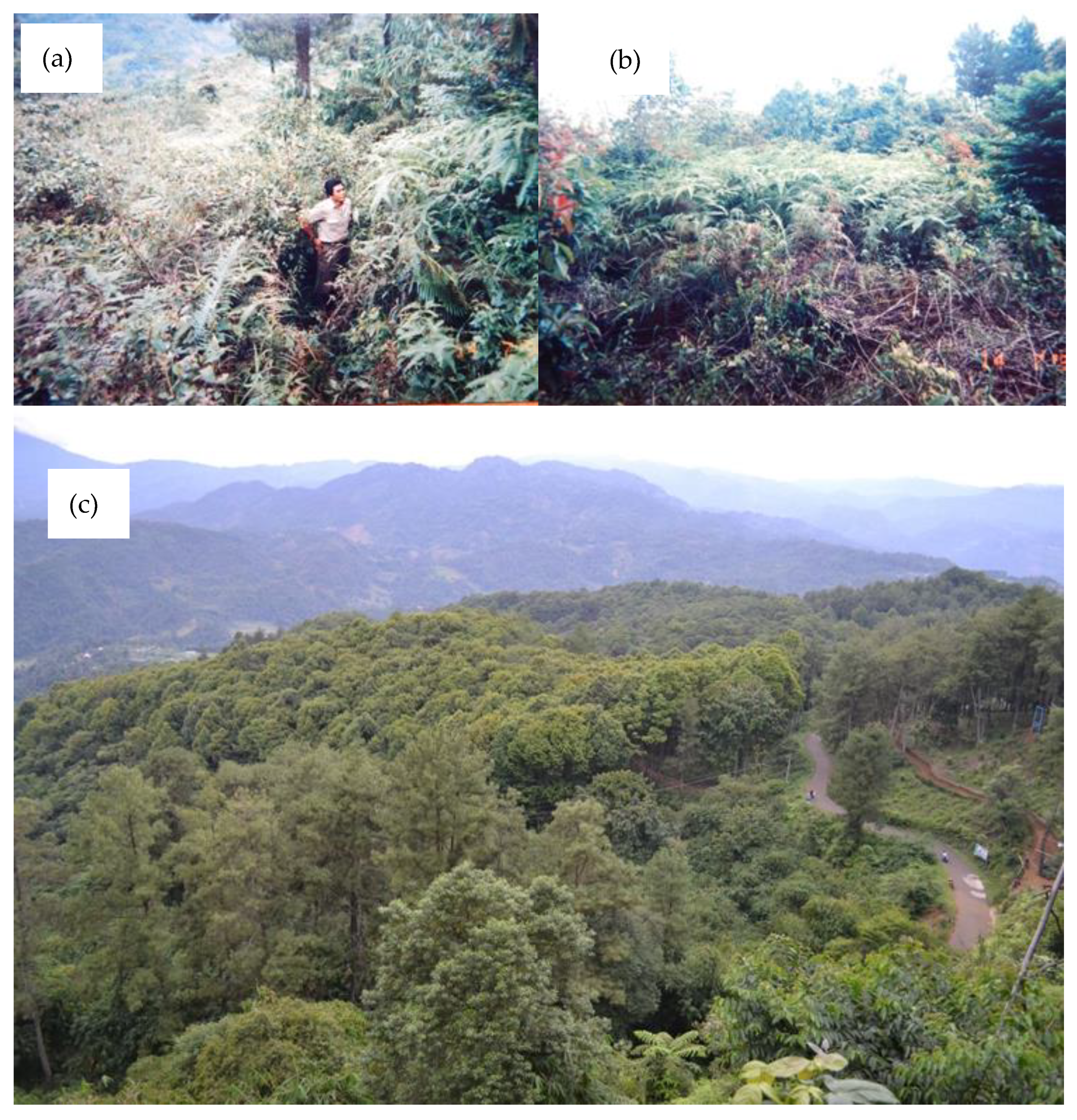 Sustainability 13 11950 g002