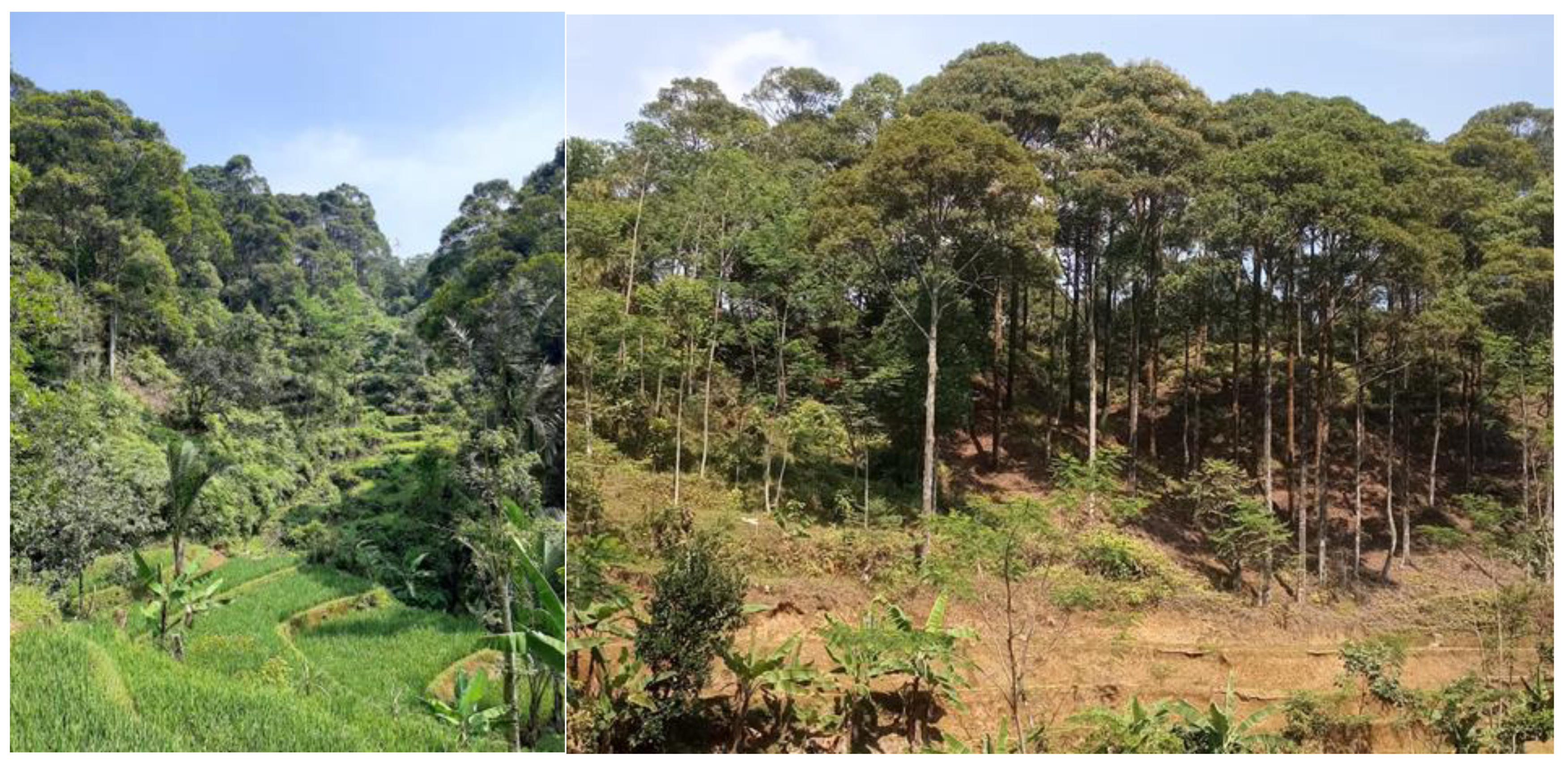 Sustainability 13 11950 g005