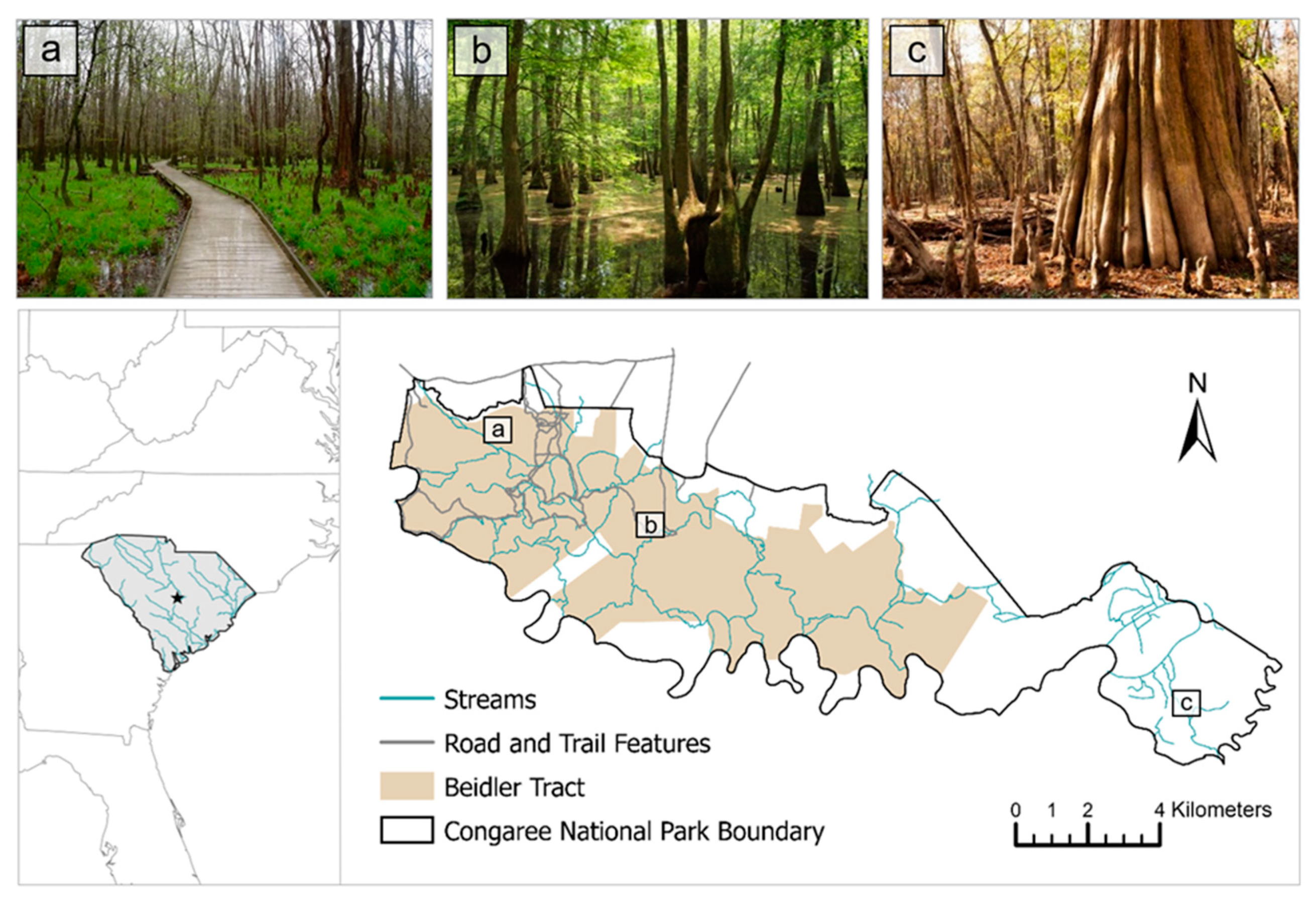 Sustainability 13 11961 g001