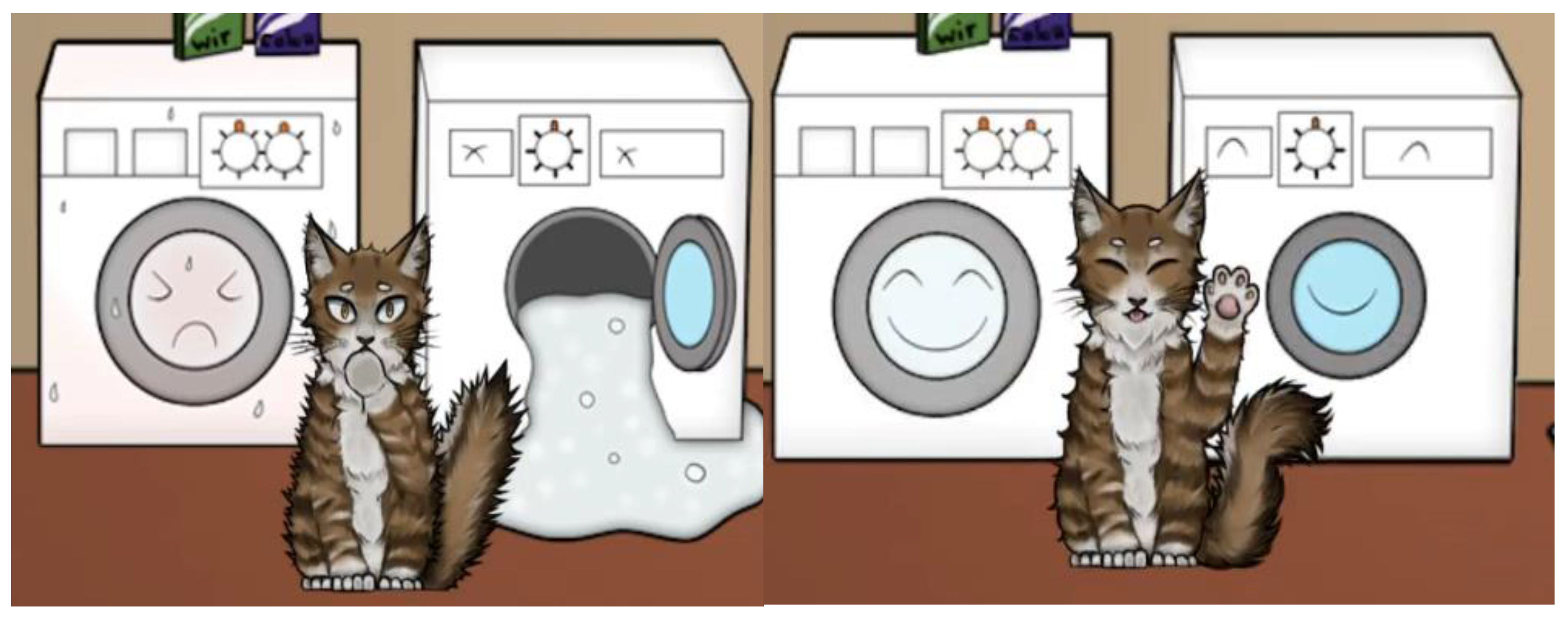 Sustainability 13 11991 g005