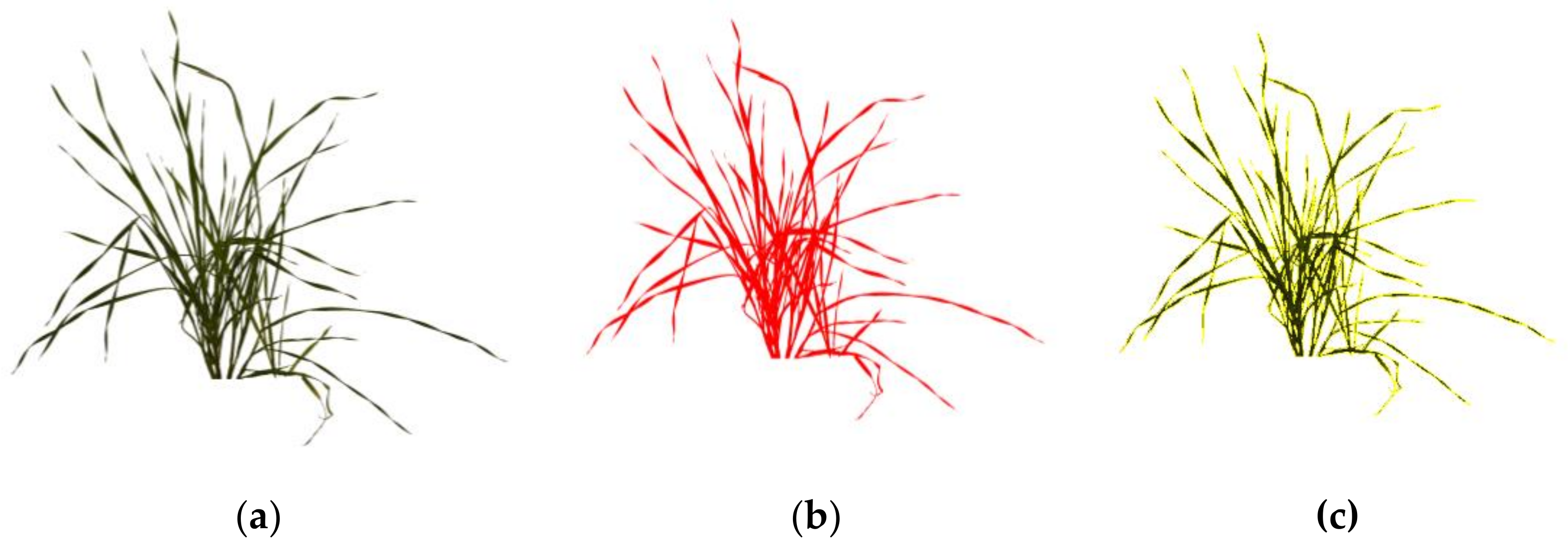 Sustainability 13 12005 g003