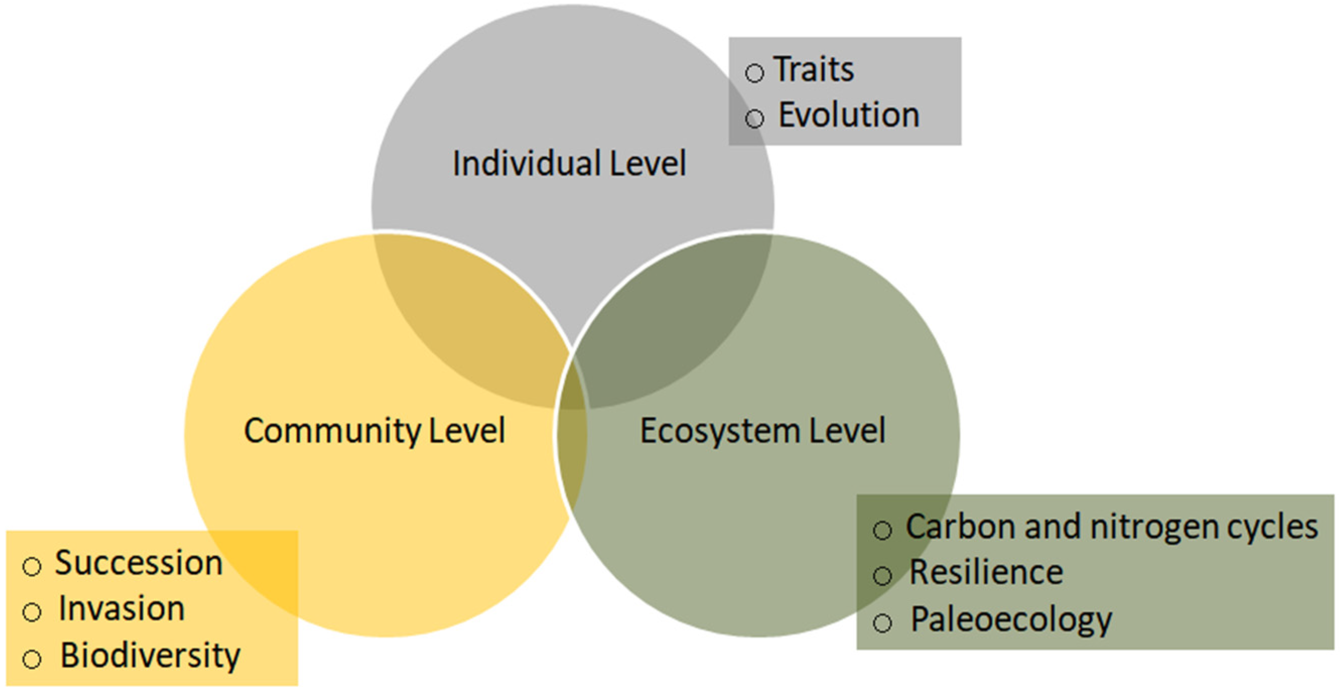 Sustainability 13 12016 g003