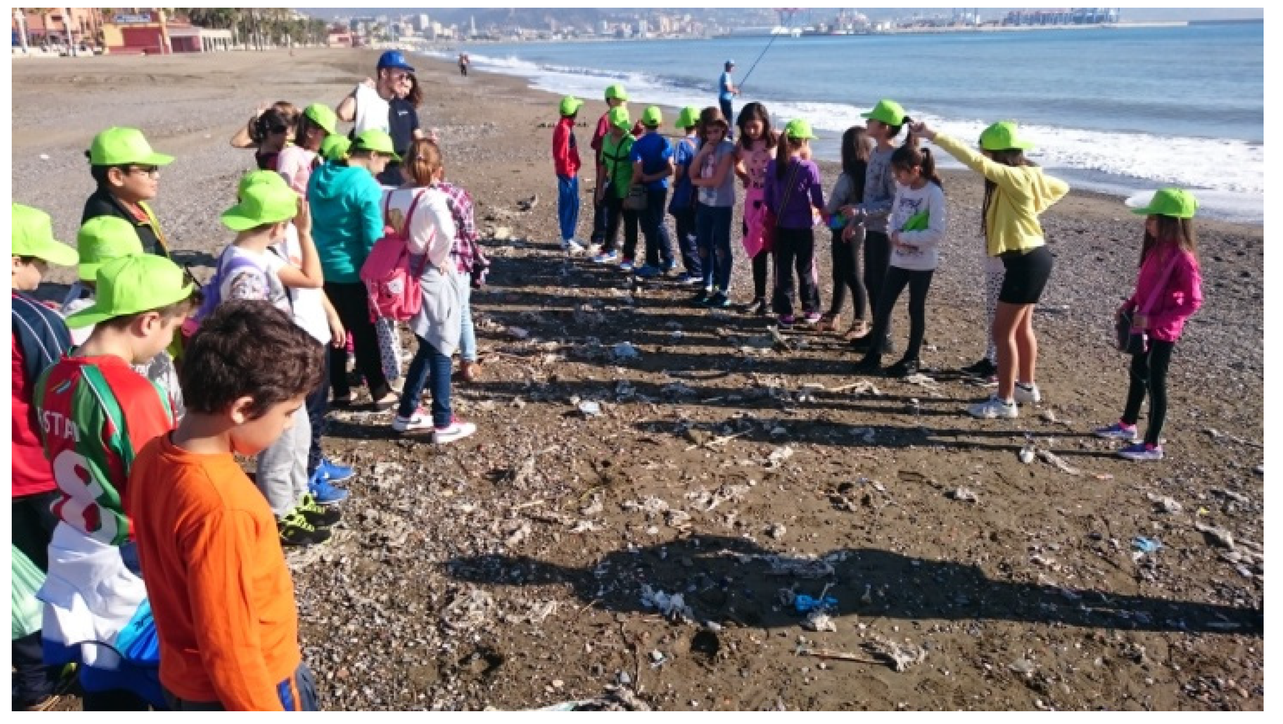 Sustainability 13 12041 g003