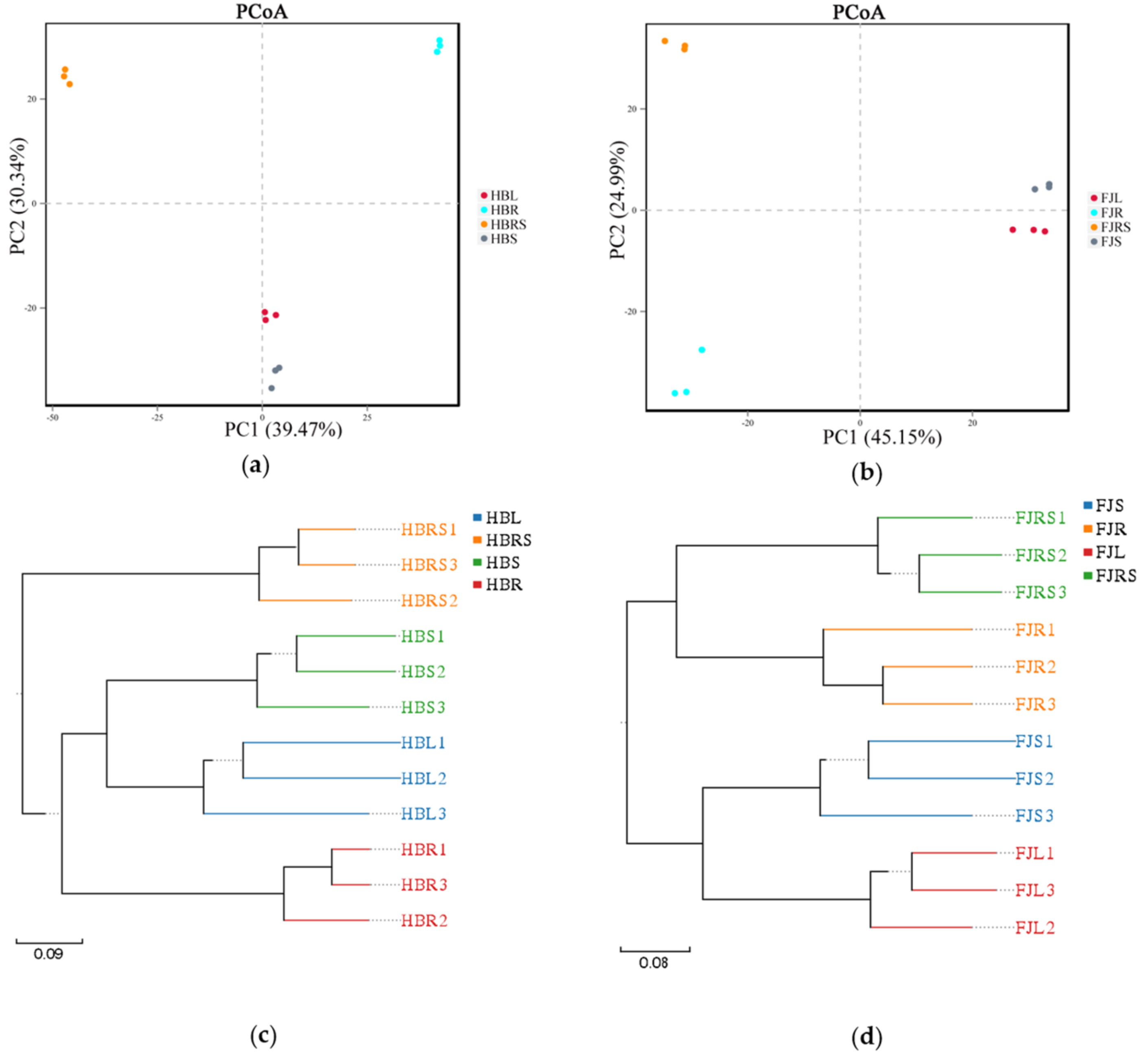 Sustainability 13 12073 g002