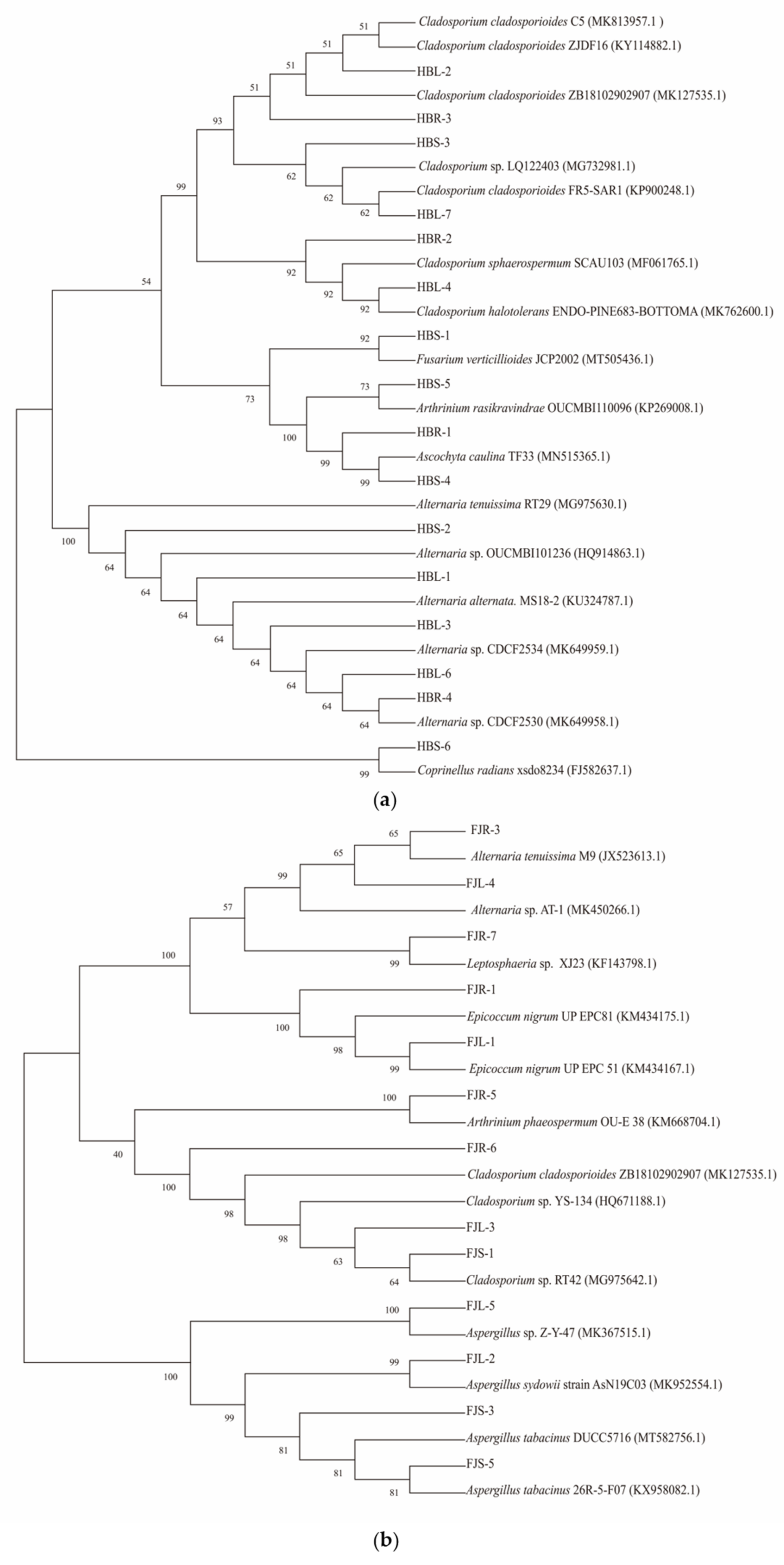 Sustainability 13 12073 g004