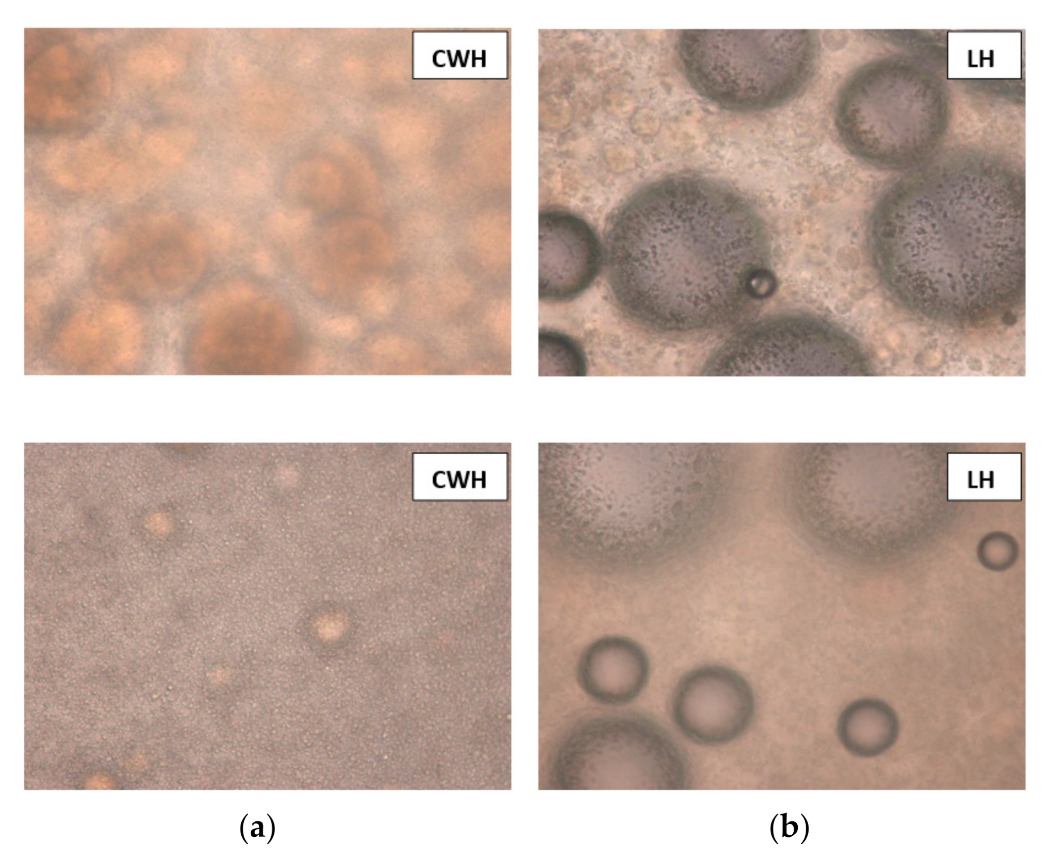 Sustainability 13 12113 g004
