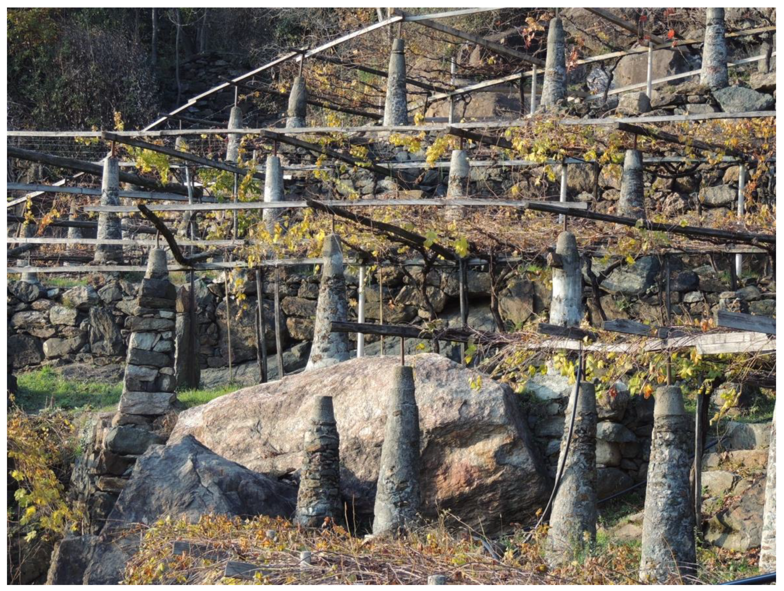 Sustainability 13 12122 g002