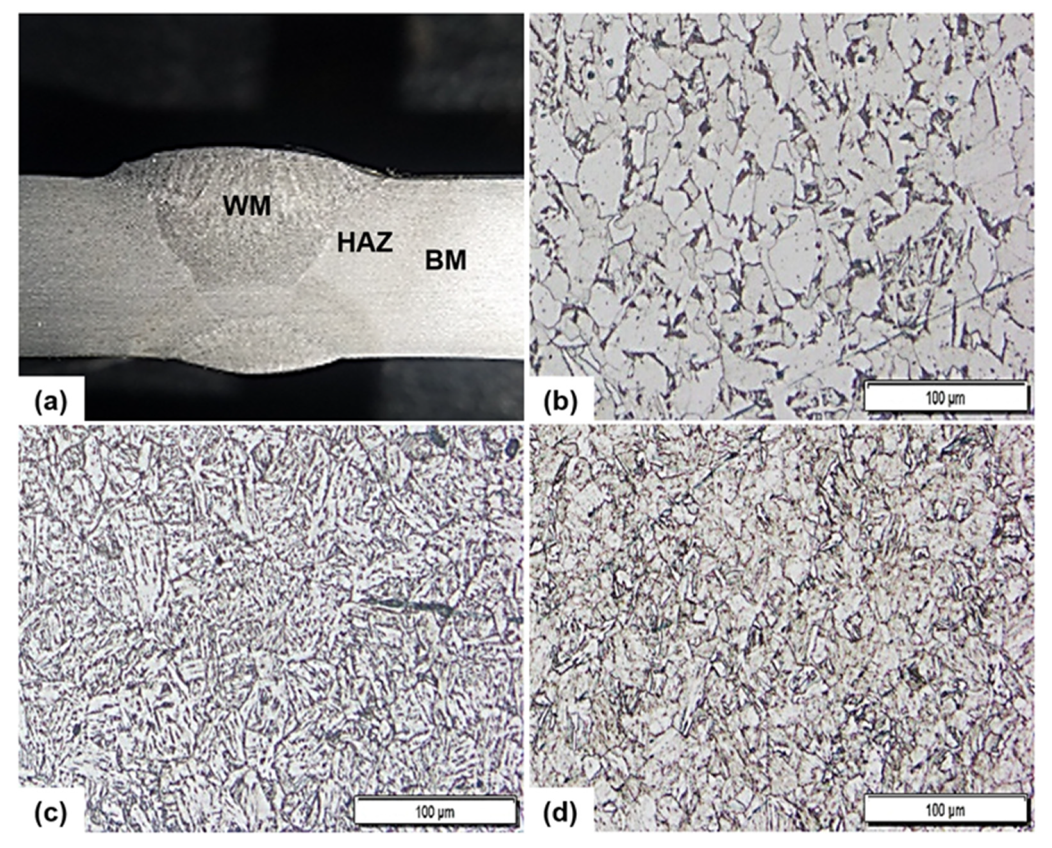 Sustainability 13 12135 g001