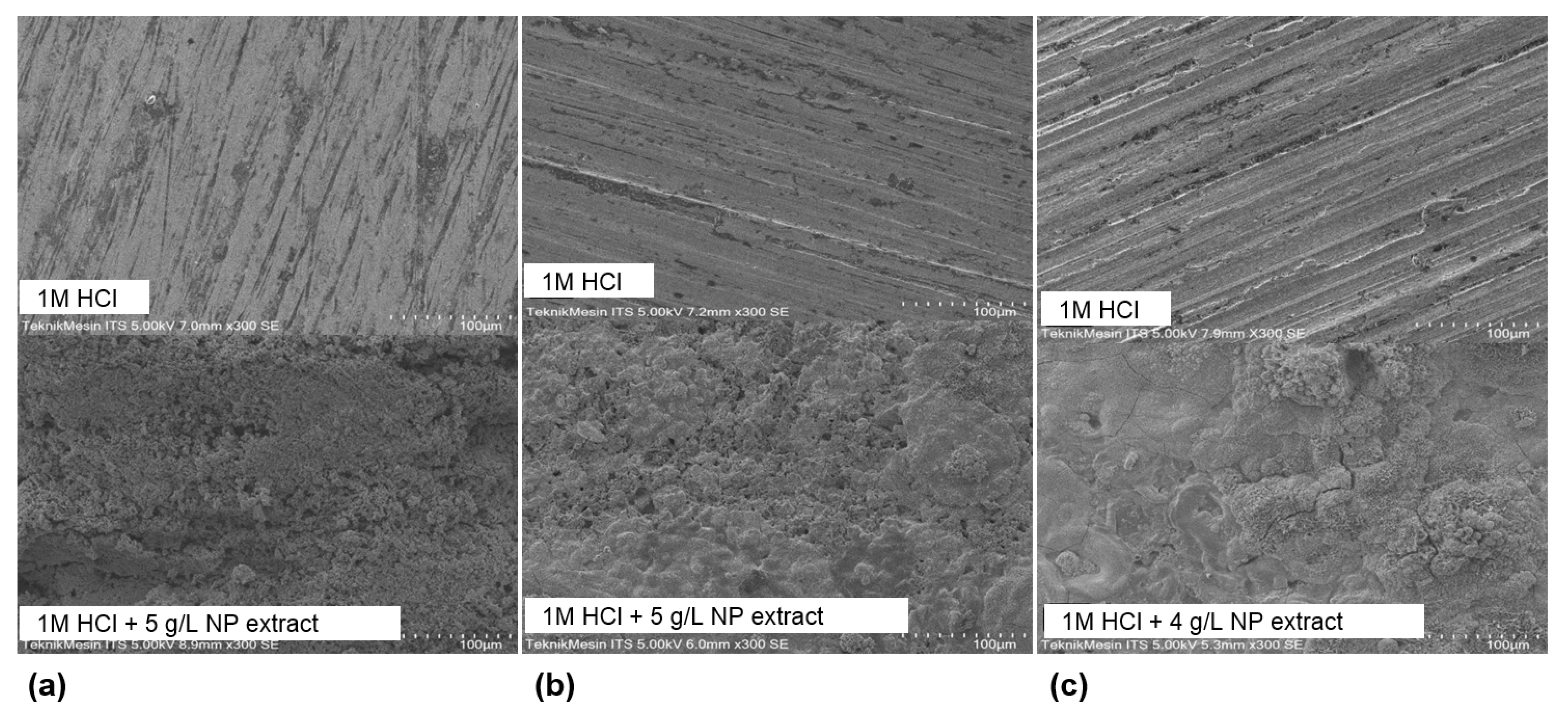 Sustainability 13 12135 g006