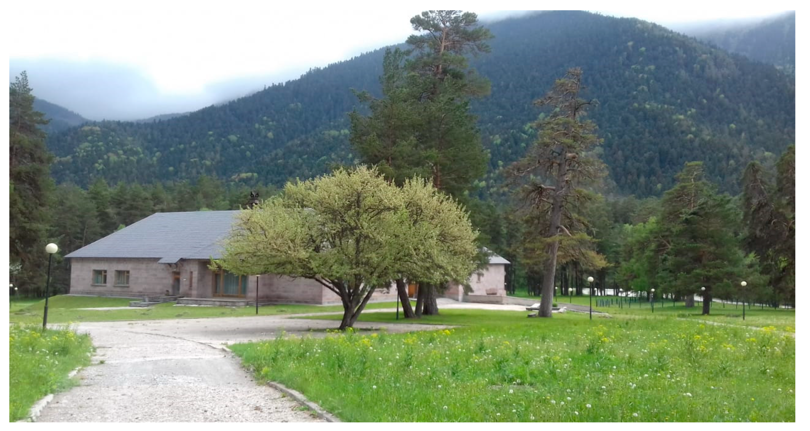 Sustainability 13 12145 g001