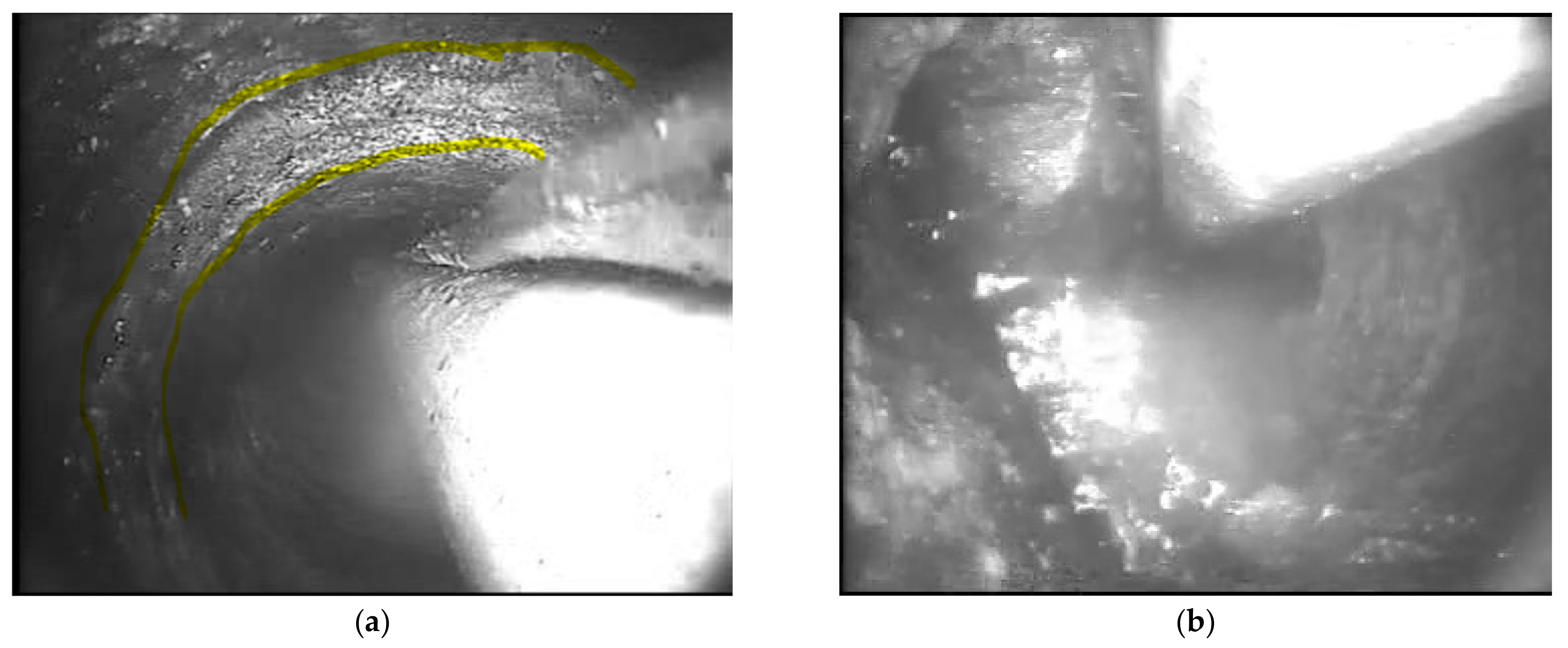 Sustainability 13 12149 g0a3