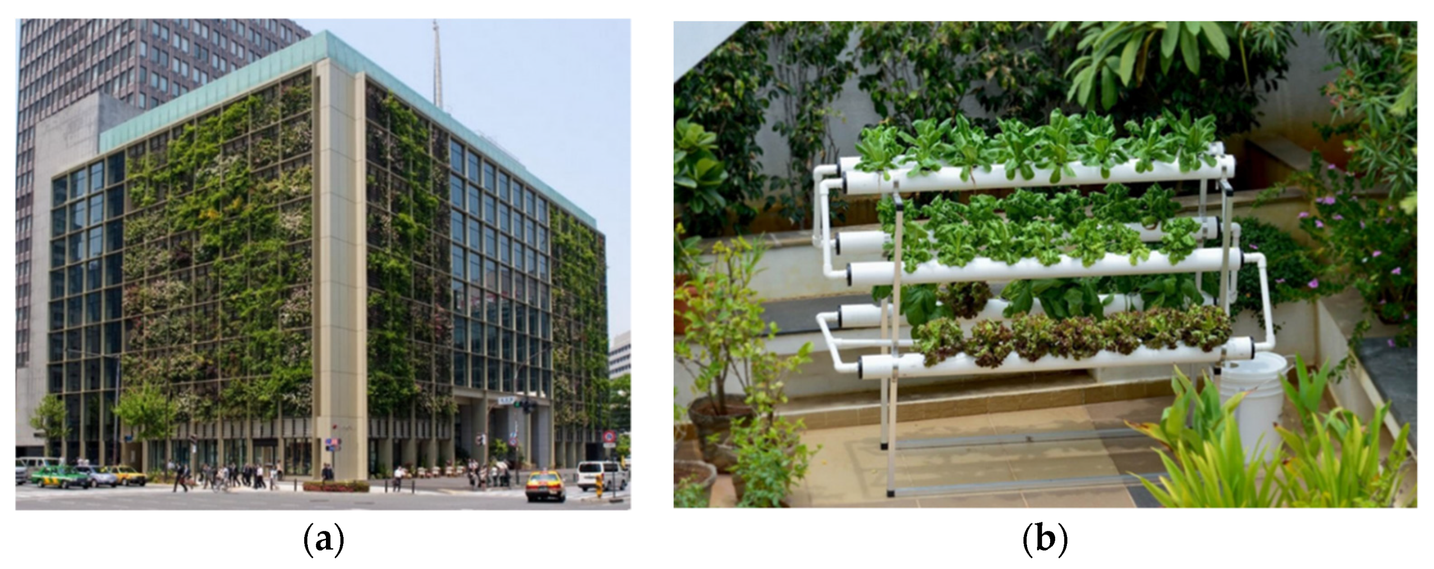 Sustainability 13 12151 g002a