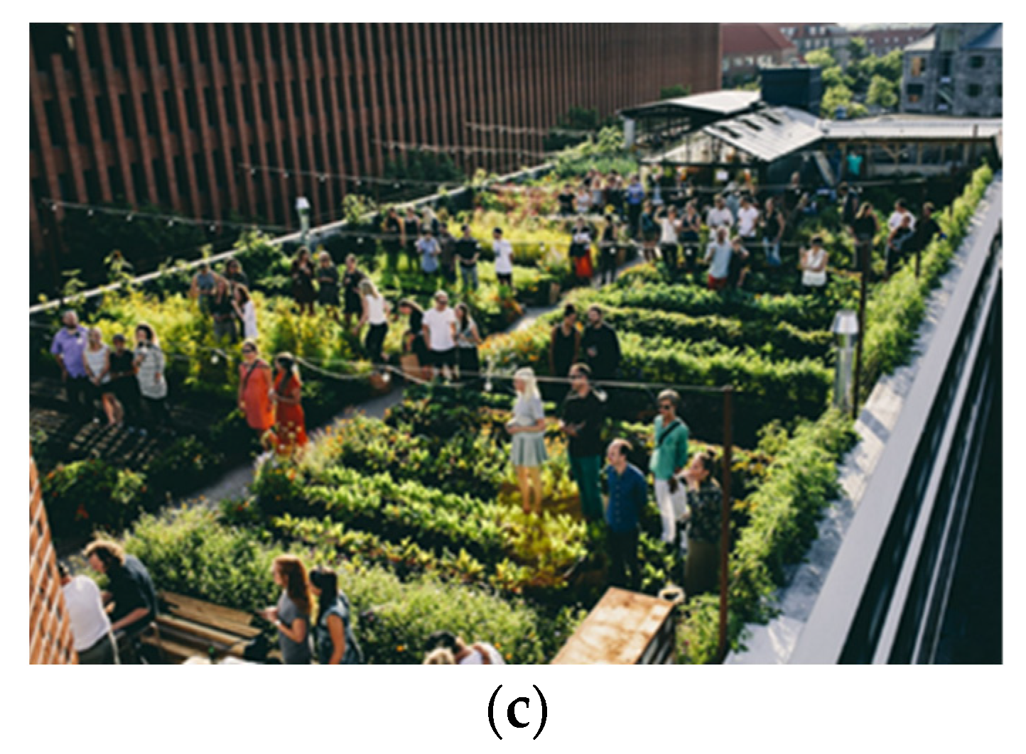 Sustainability 13 12151 g002b