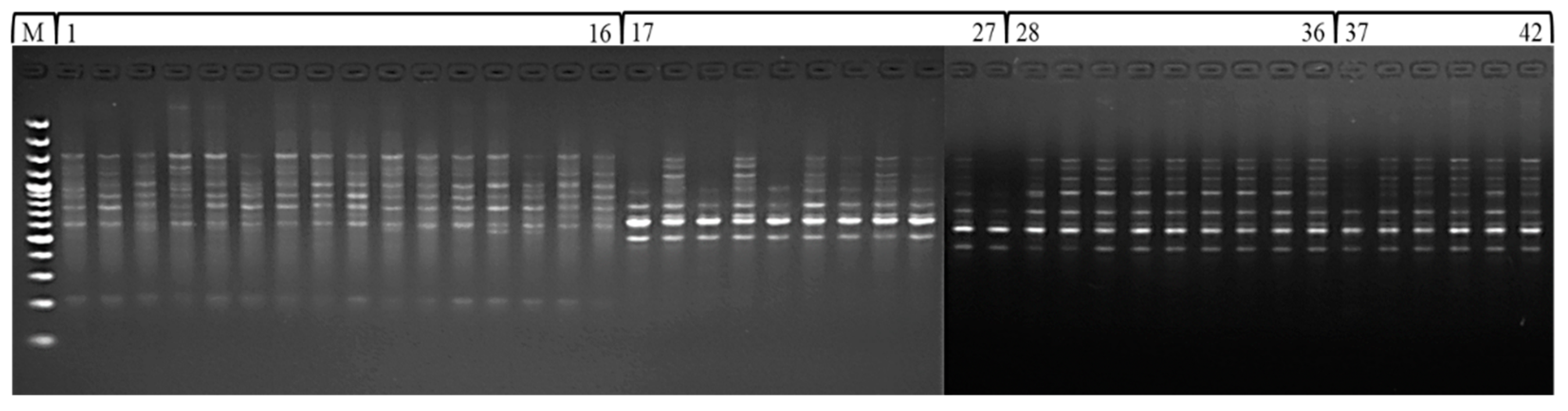 Sustainability 13 12165 g003
