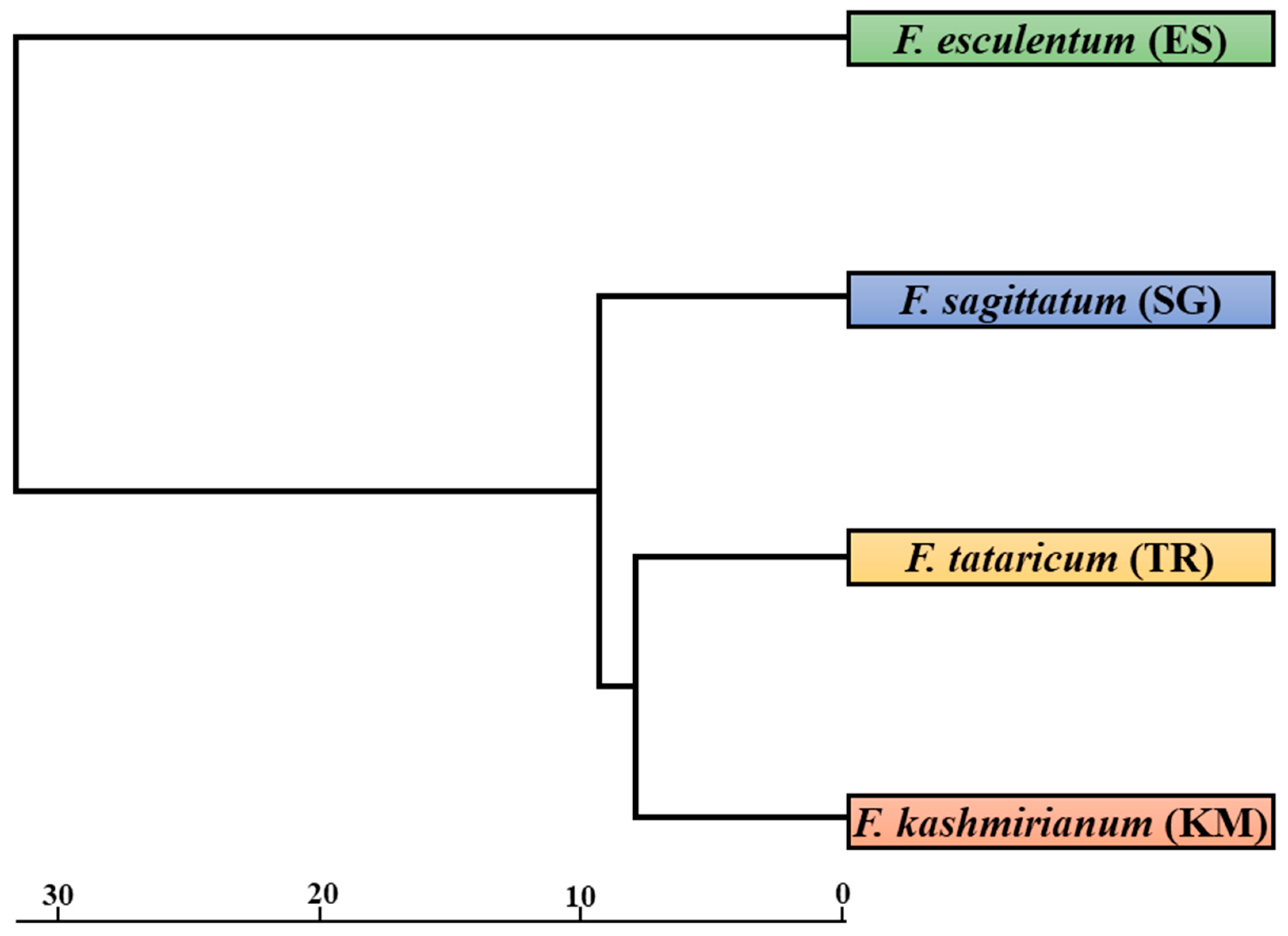 Sustainability 13 12165 g004