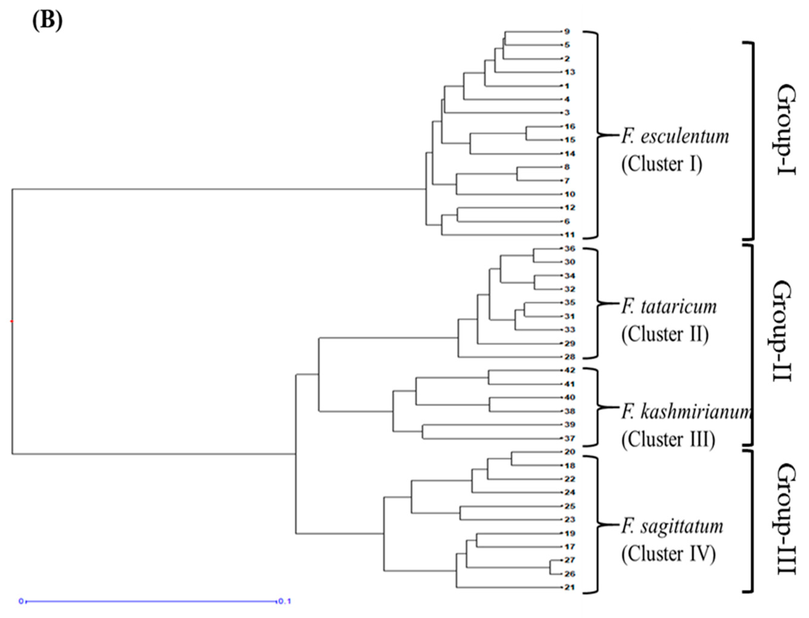 Sustainability 13 12165 g006b