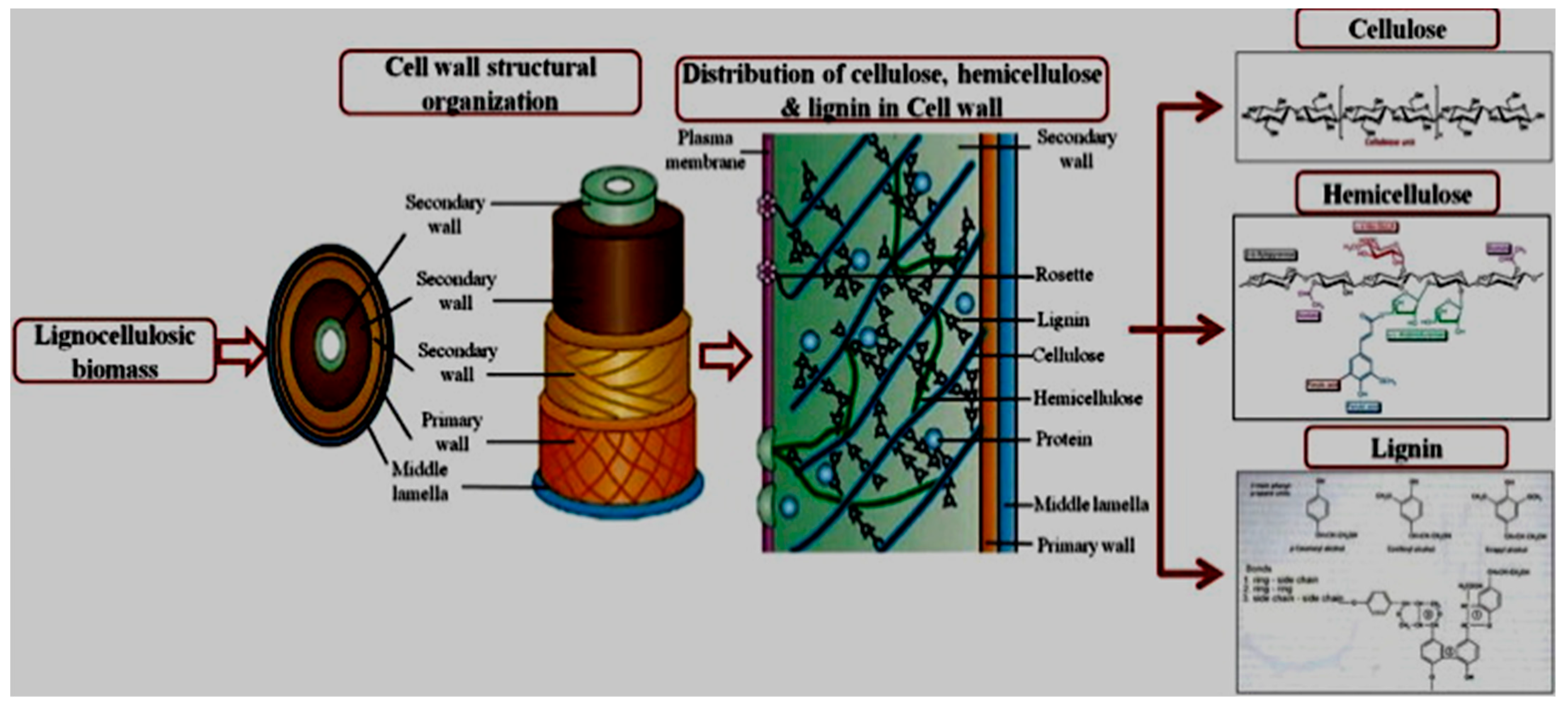 Sustainability 13 12200 g001