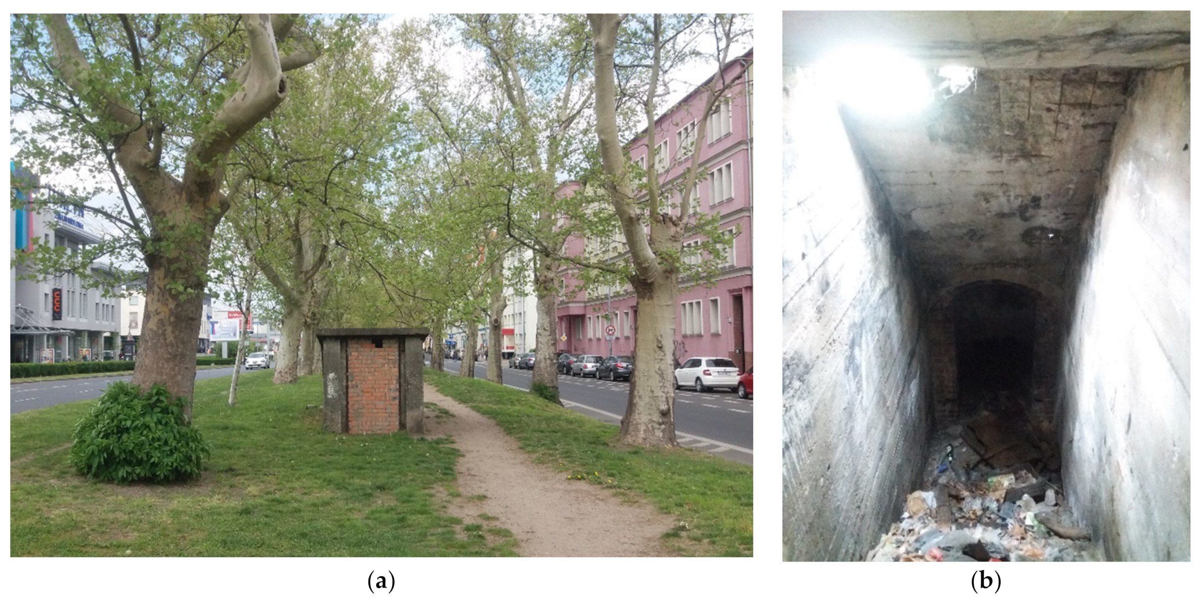 Sustainability 13 12238 g003