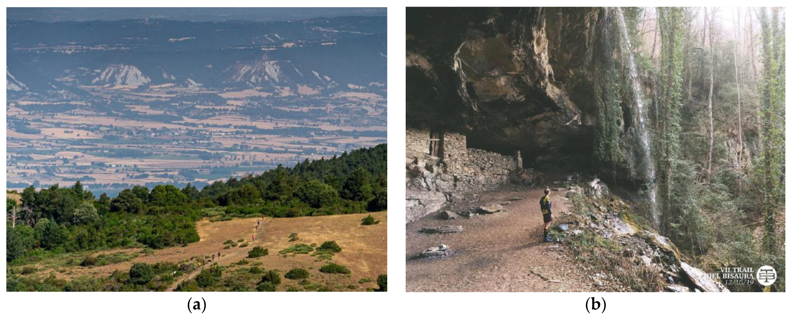 Sustainability 13 12255 g001