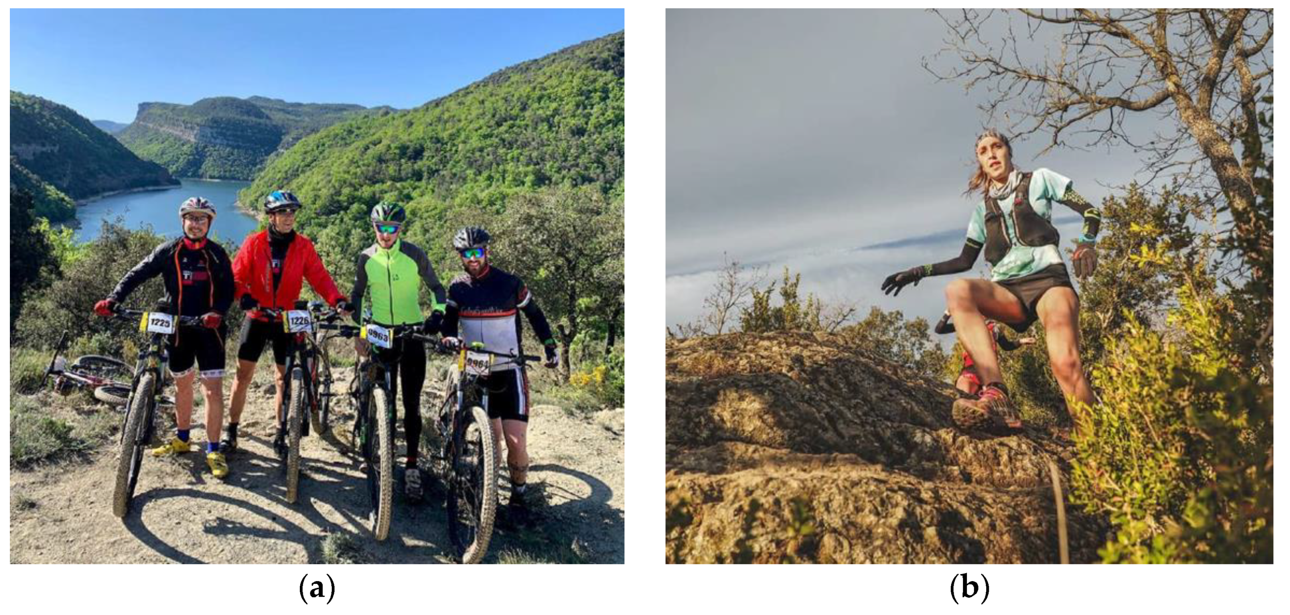 Sustainability 13 12255 g003