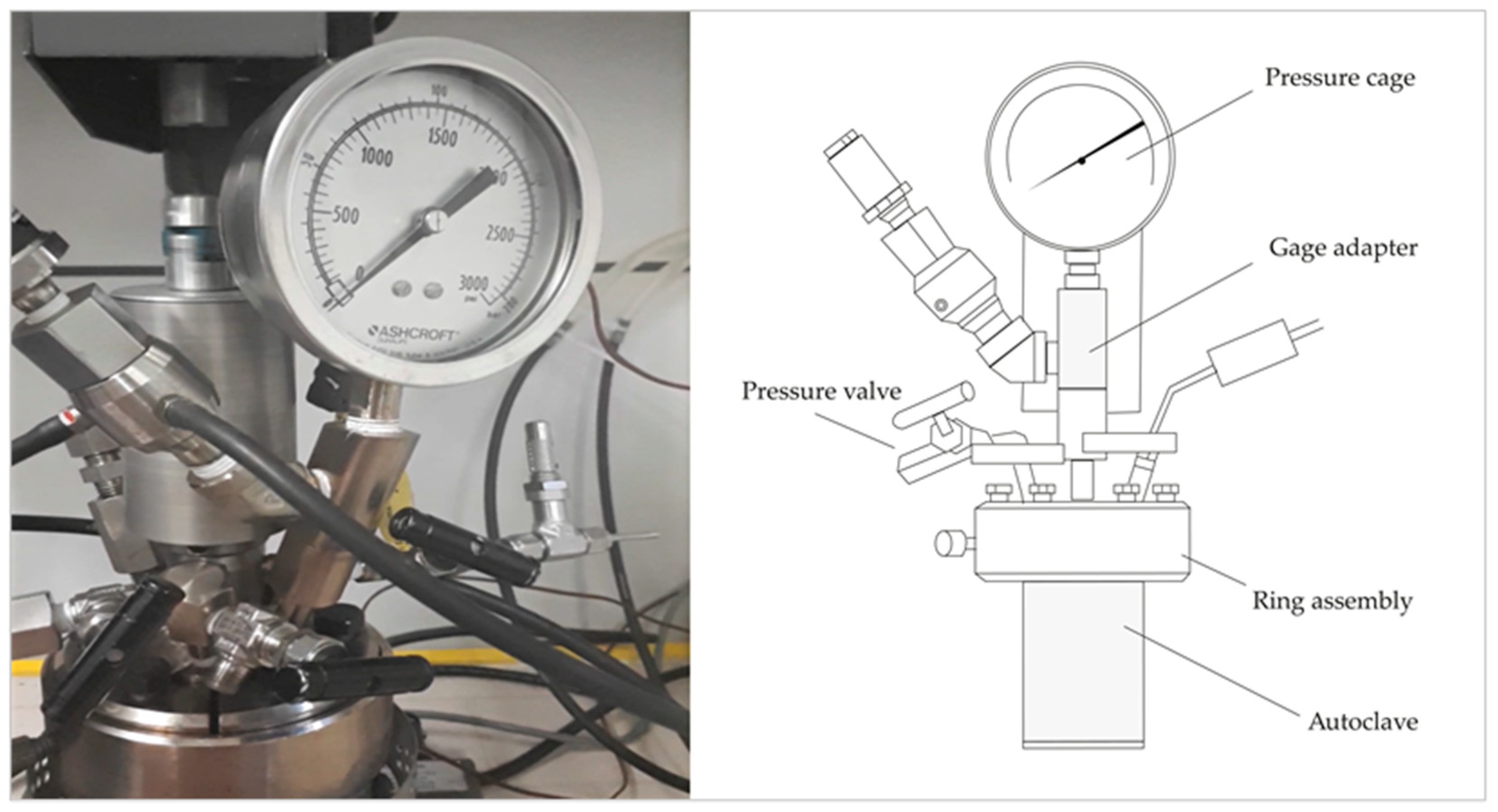 Sustainability 13 12261 g002