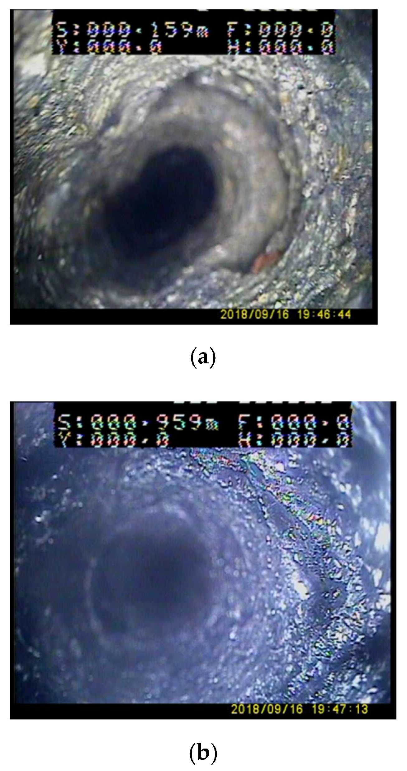 Sustainability 13 12300 g005a