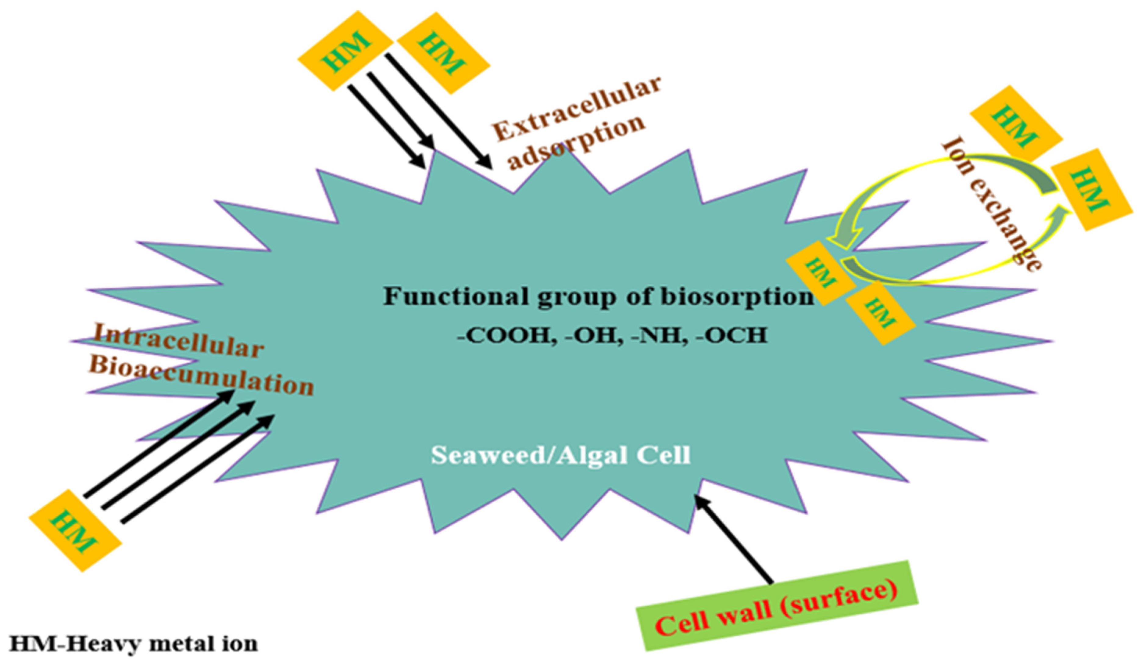 Sustainability 13 12311 g005