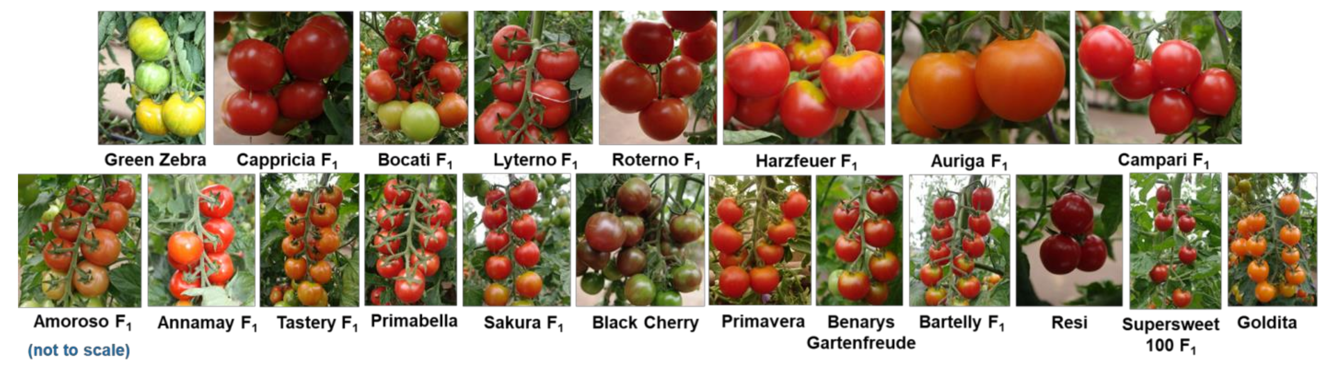 Sustainability 13 12326 g002