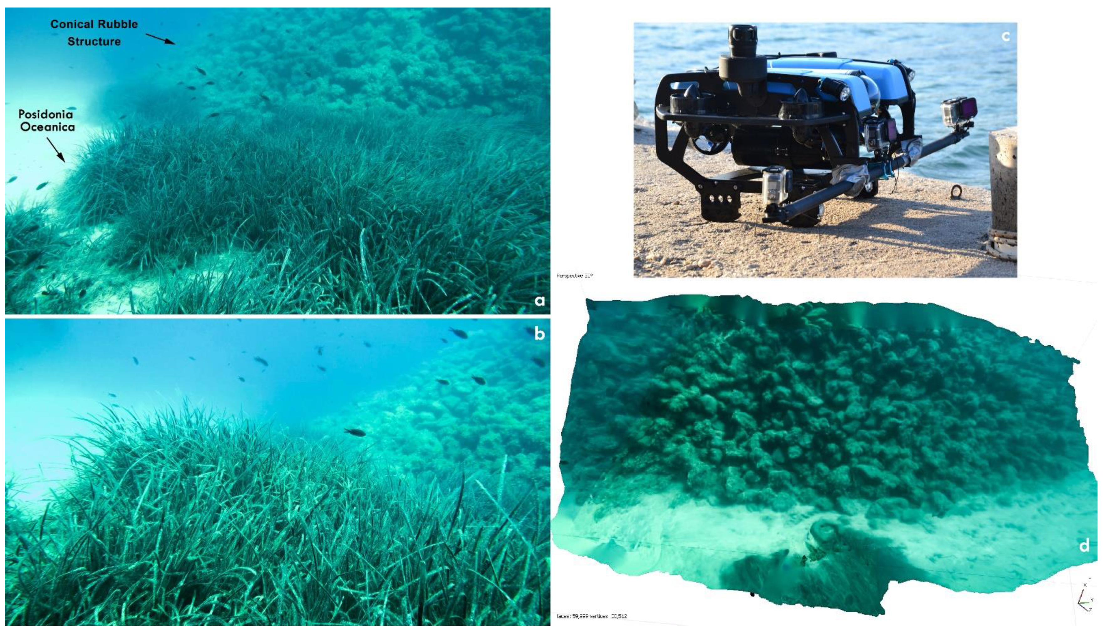 Sustainability 13 12327 g006