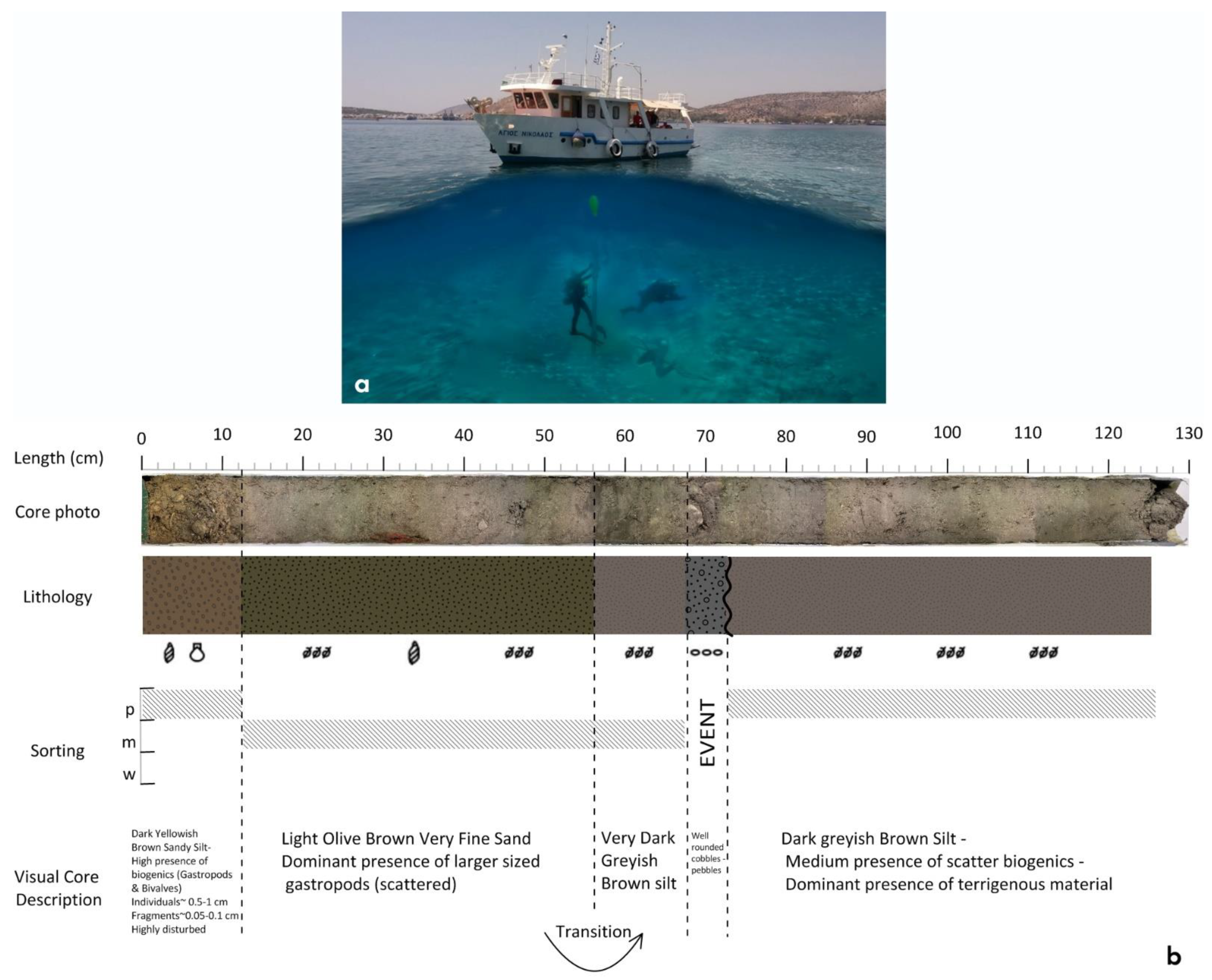 Sustainability 13 12327 g008