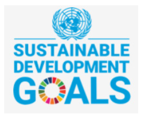 Sustainability 13 12338 i001