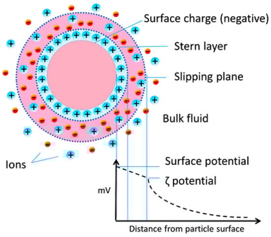 Sustainability 13 12339 g003
