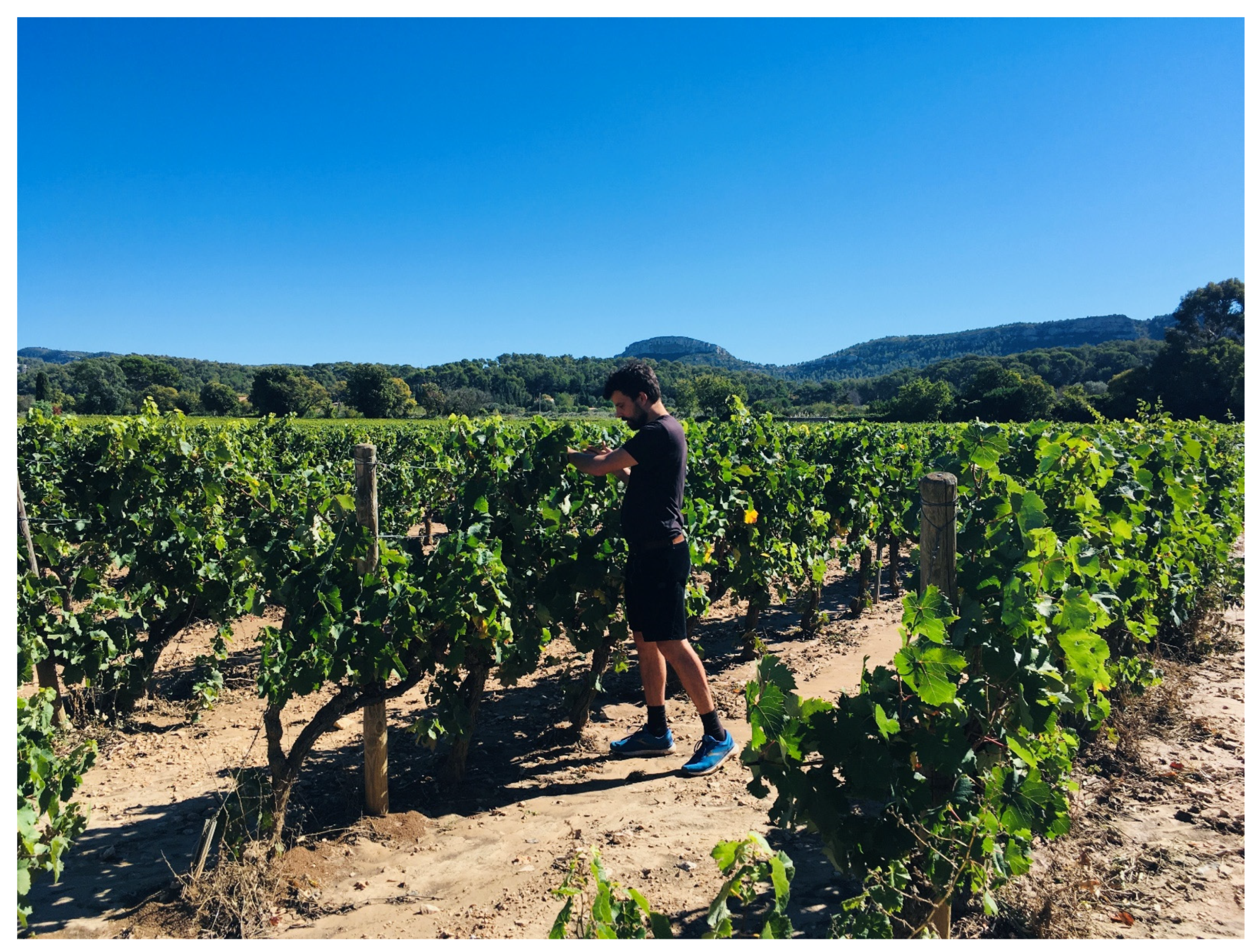 Sustainability 13 12340 g004