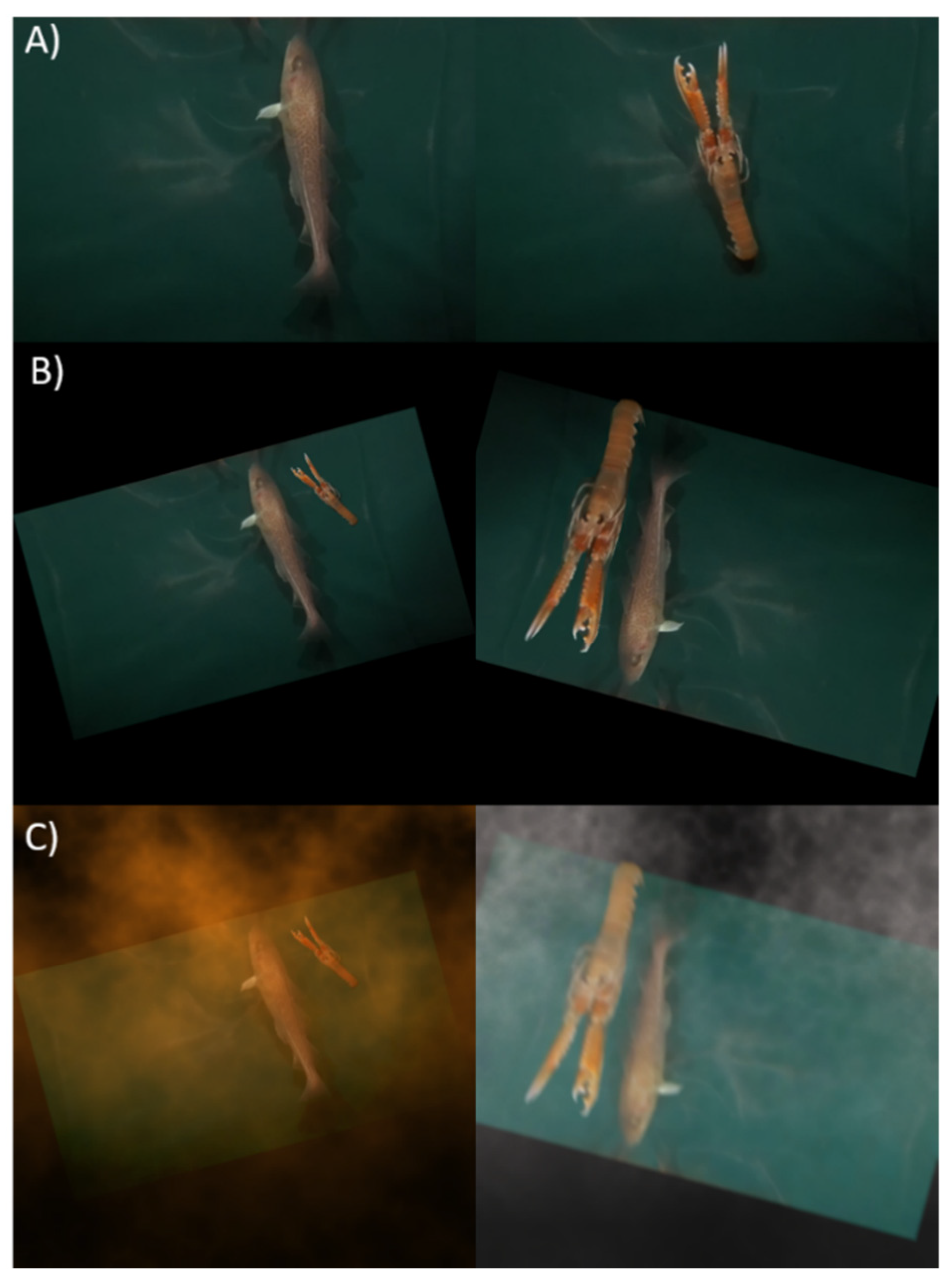 Sustainability 13 12362 g003