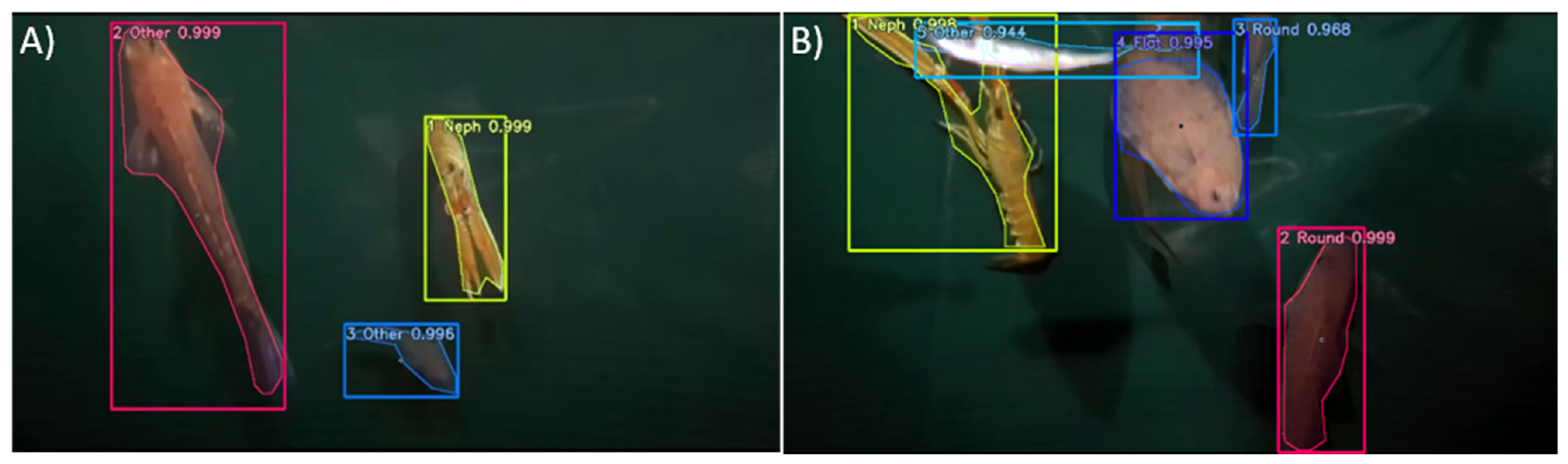 Sustainability 13 12362 g005