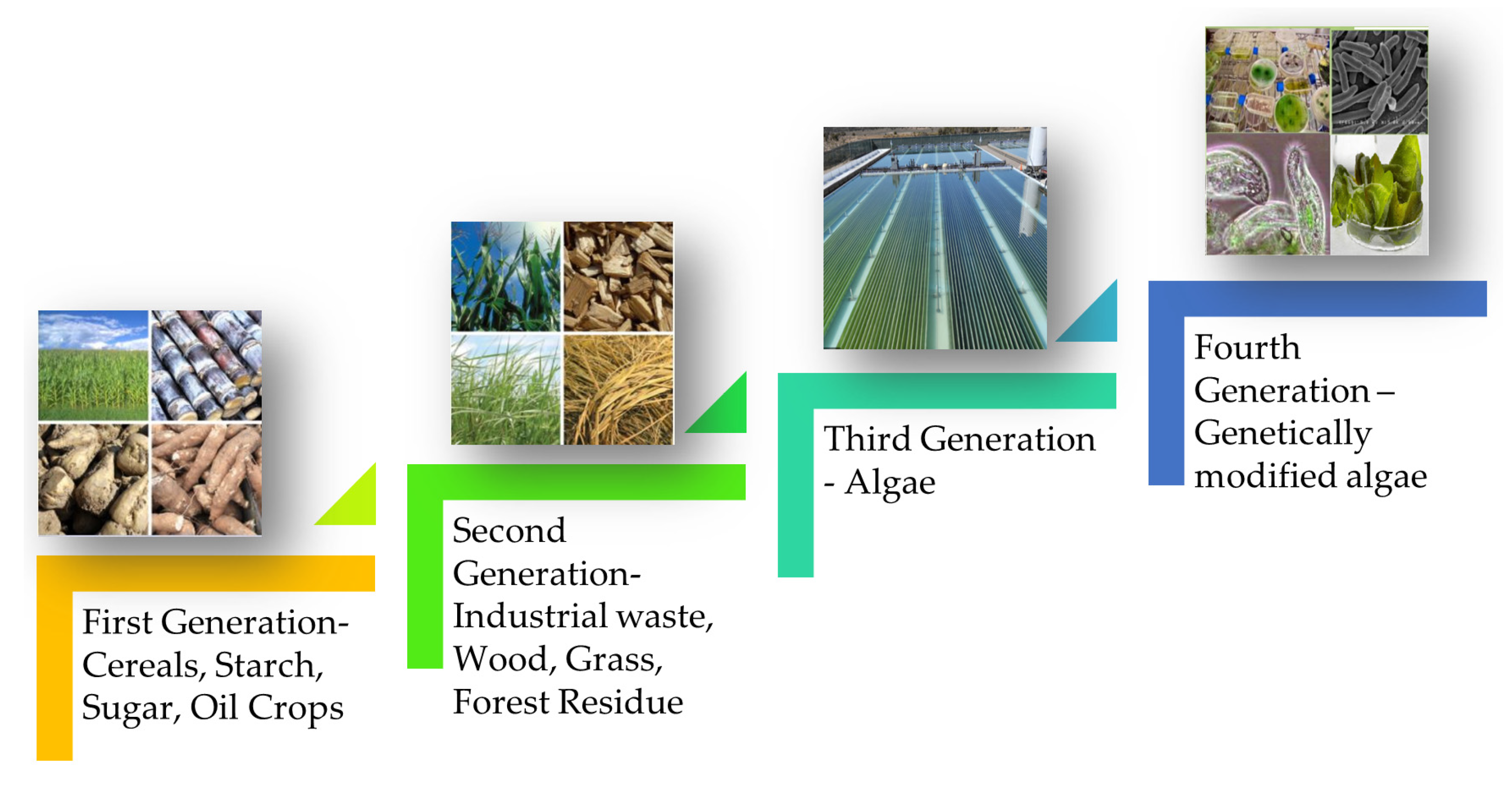 Sustainability 13 12374 g002