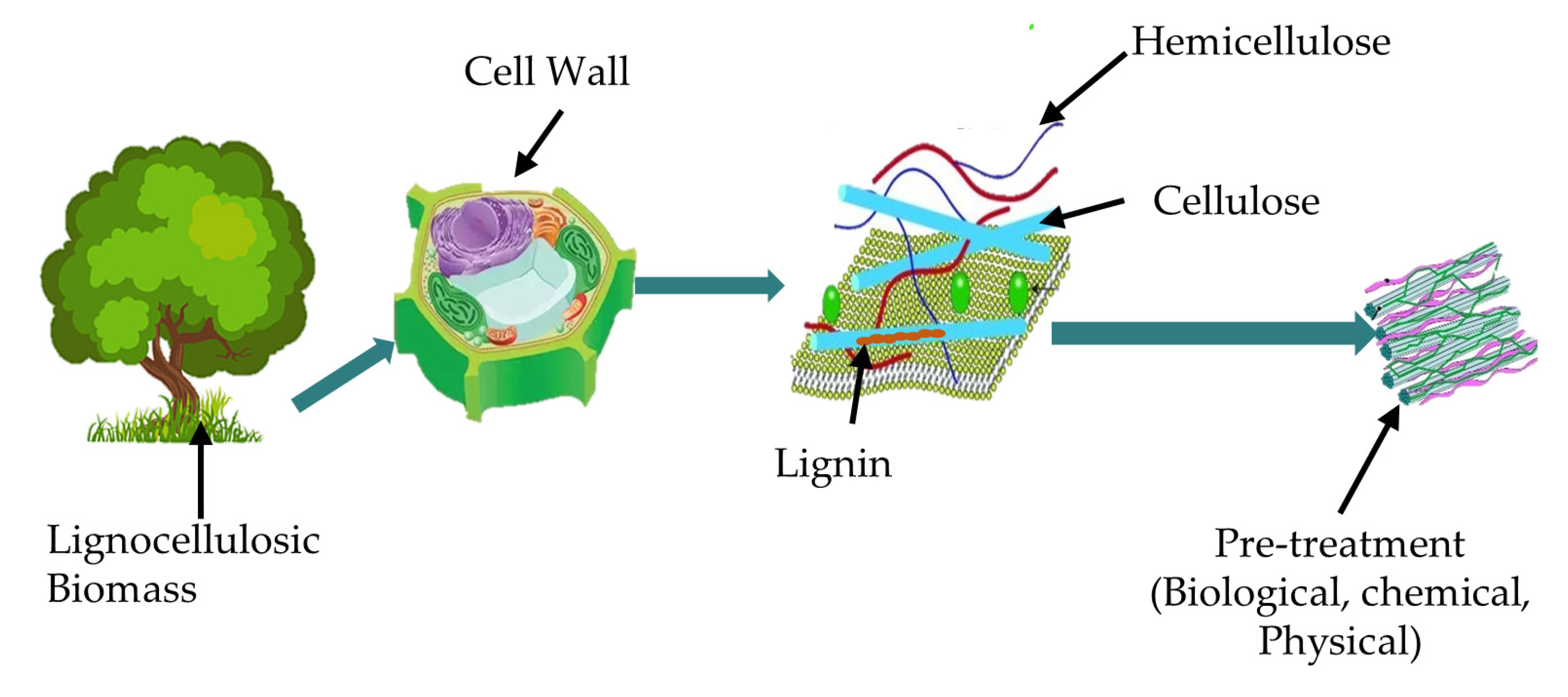 Sustainability 13 12374 g006